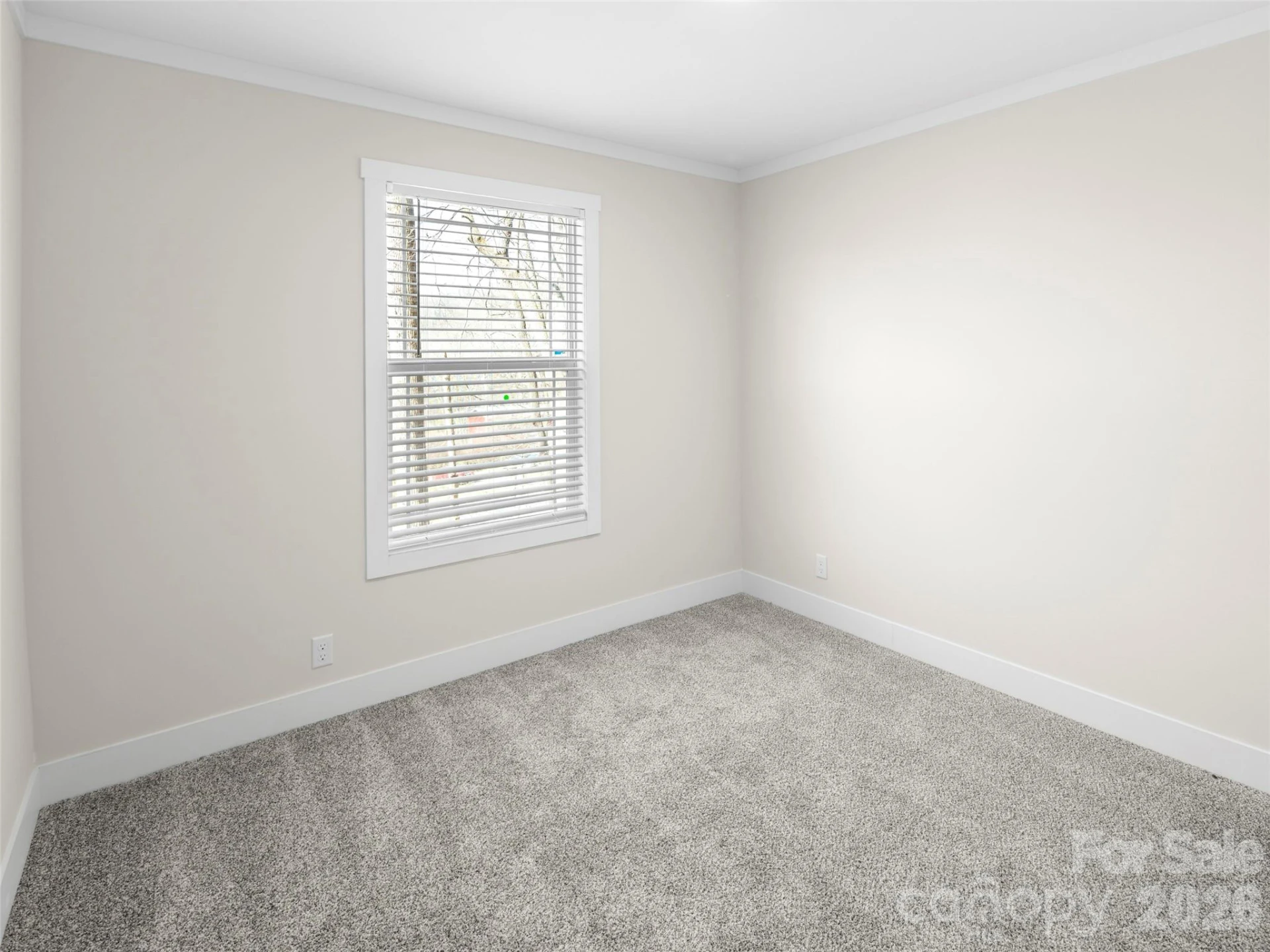 512 Hutch Mountain Road - Photo 19
