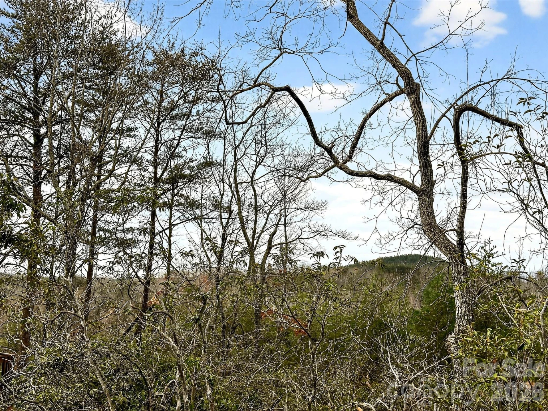 345 Lower Switchback Road - Photo 31