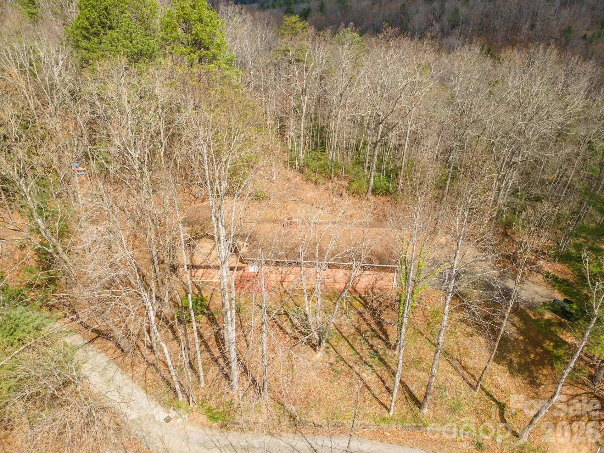118 Richard Lane - Photo 7