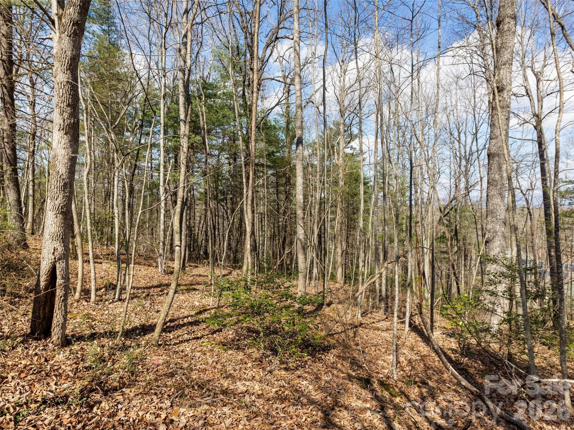 96 Turkey Roost Court - Photo 11