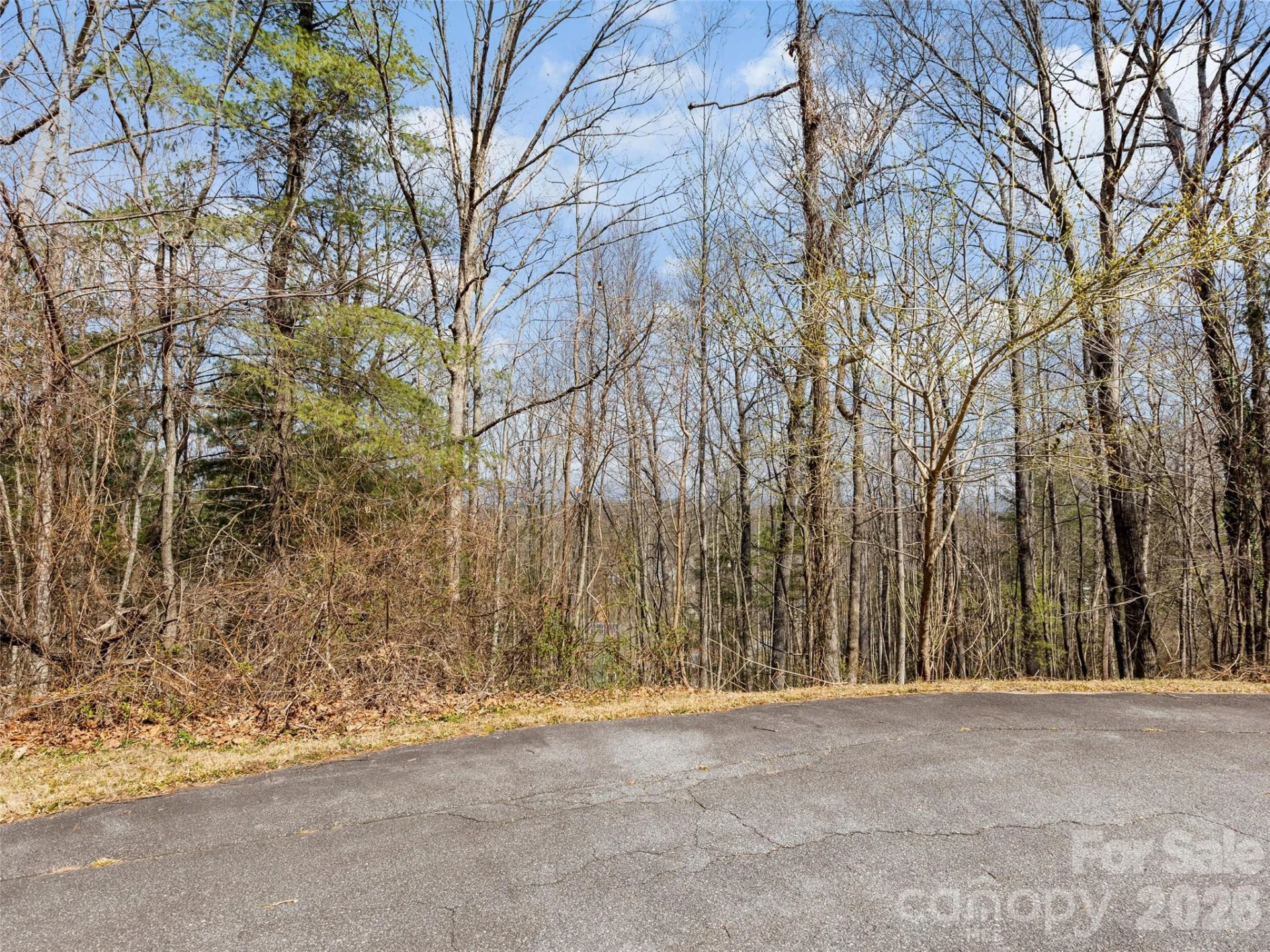 96 Turkey Roost Court - Photo 9