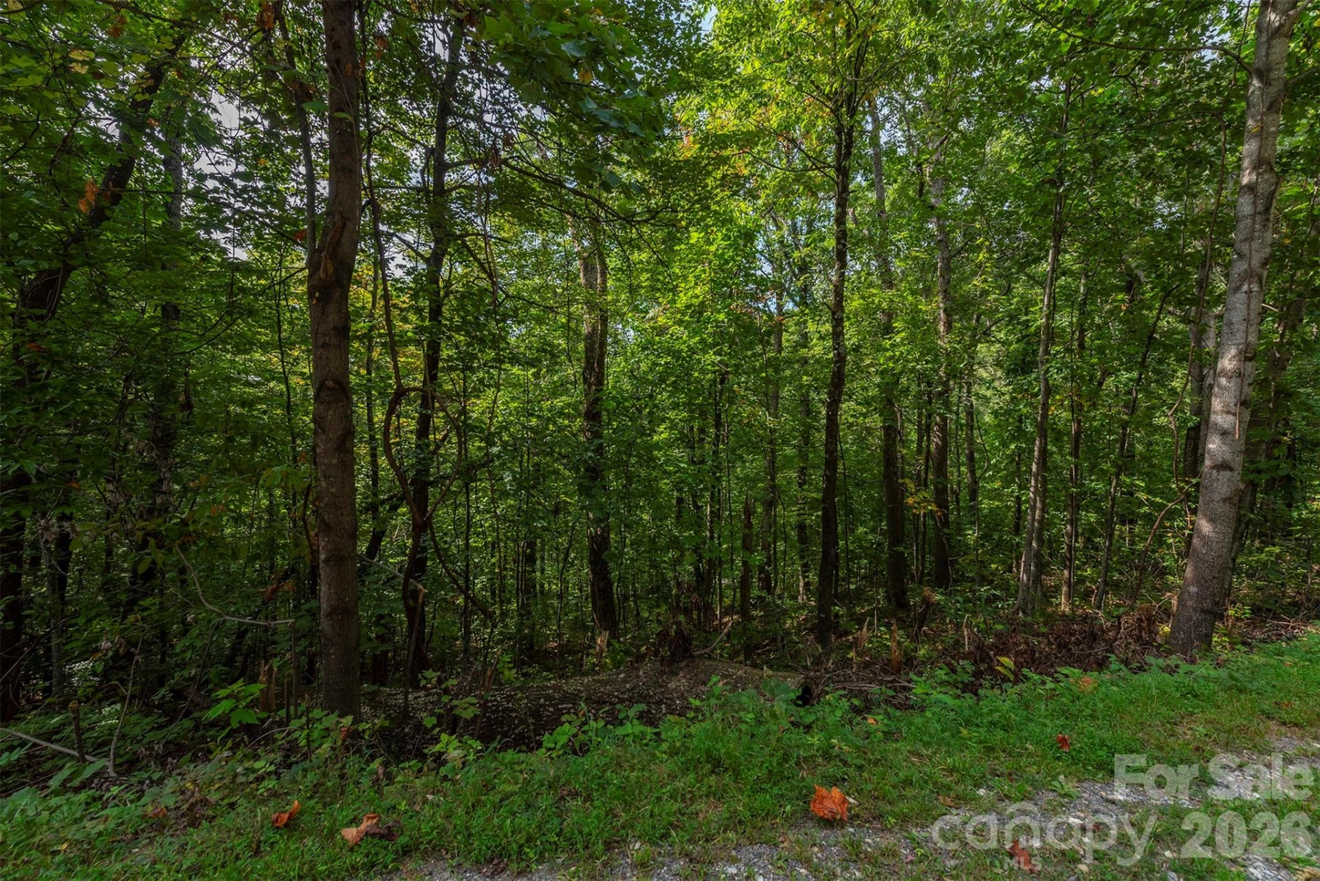 99999 Gateway Parkway - Photo 18