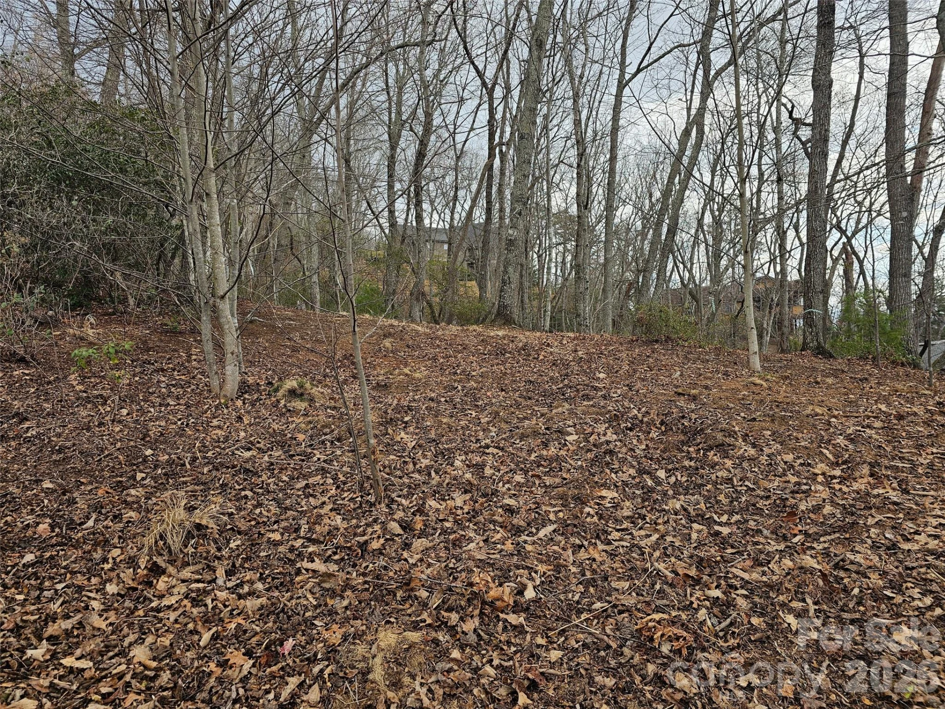 709 Craggyside Lane #24 - Photo 8
