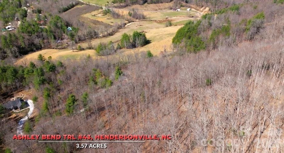 00000 Ashley Bend Trail #43 - Photo 2