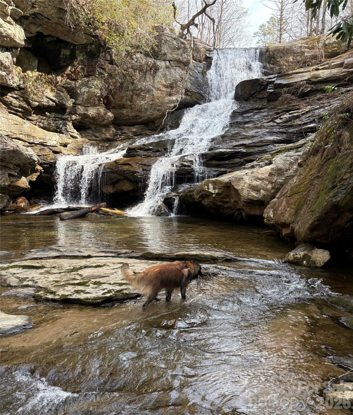 00000 Ashley Bend Trail #43 - Photo 15