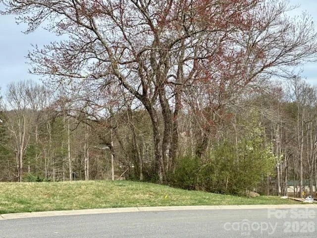 156 Triple Fairways Drive - Photo 10