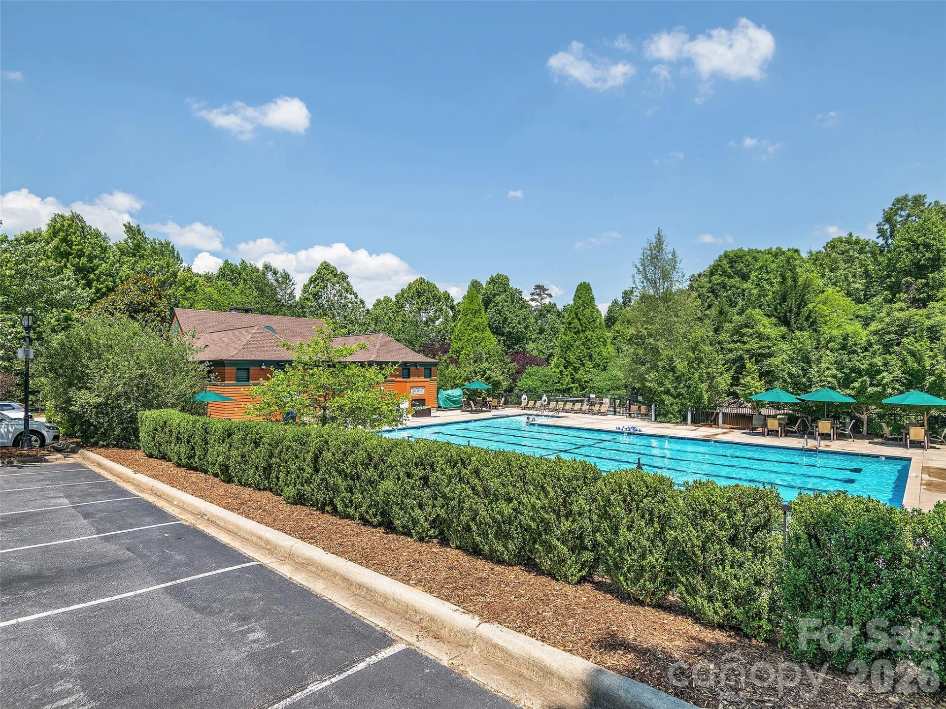 21 Dianthus Drive - Photo 45
