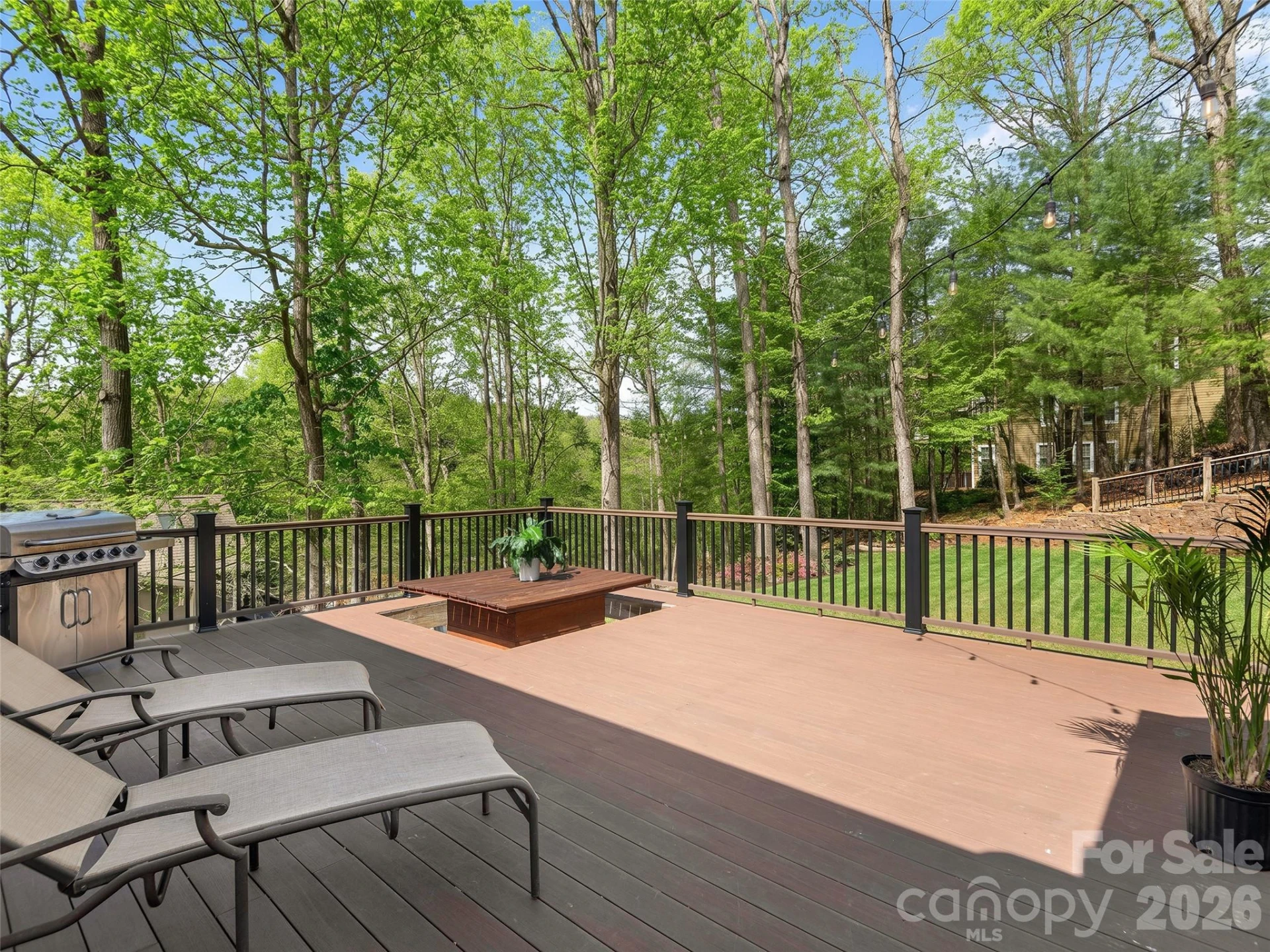 21 Dianthus Drive - Photo 7