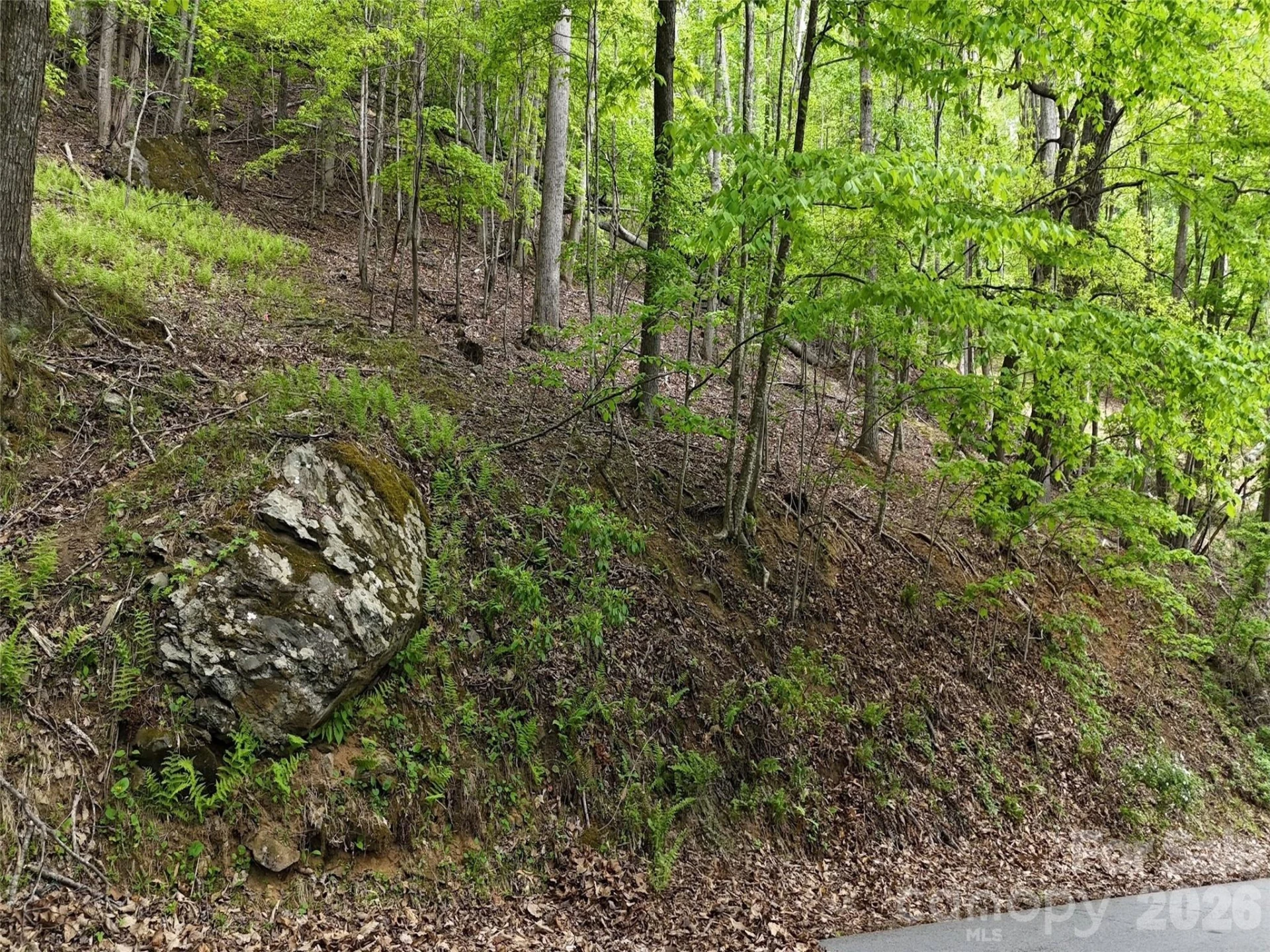 Lot #117 Honey Locust Drive - Photo 13
