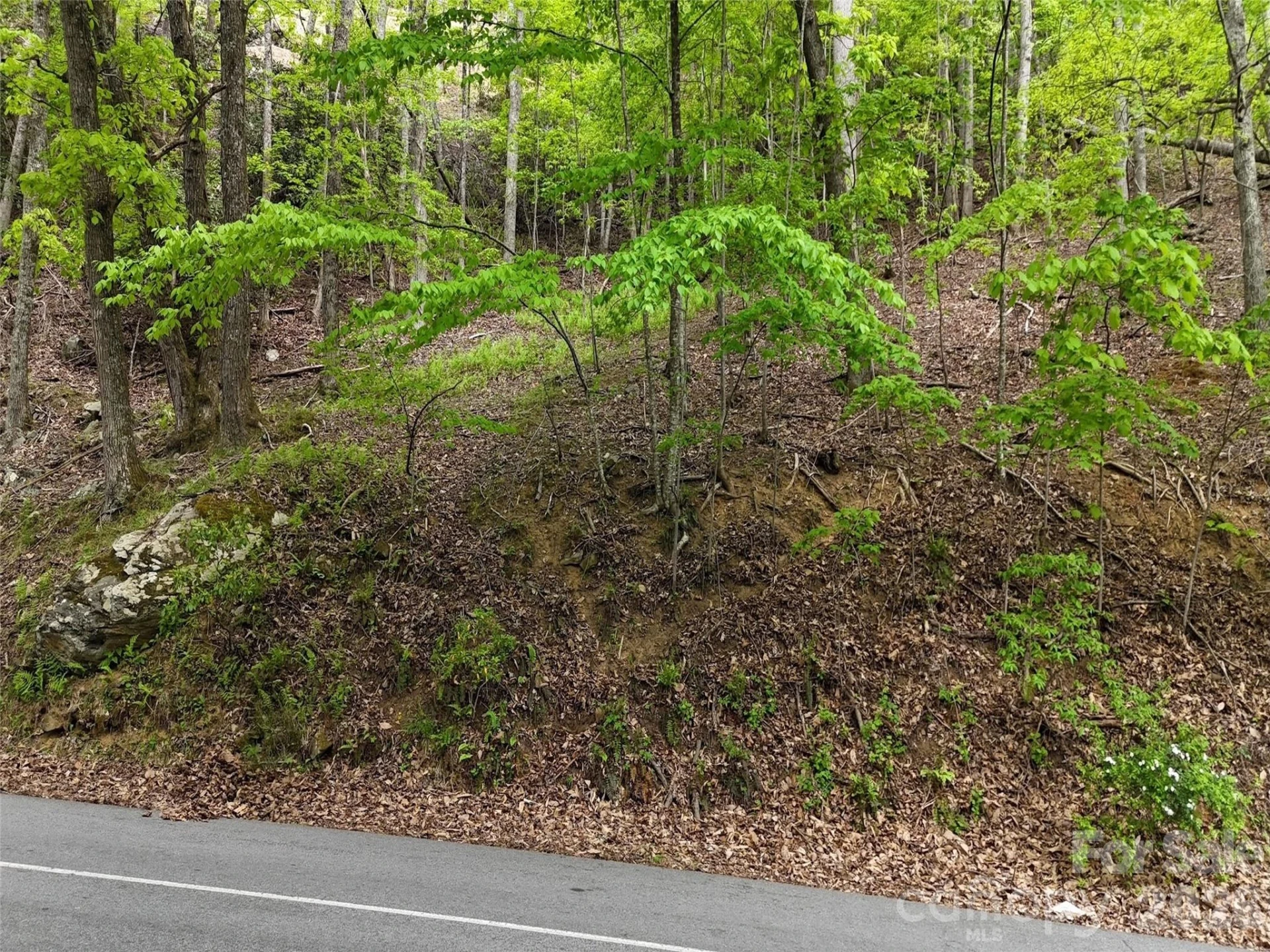 Lot #117 Honey Locust Drive - Photo 15