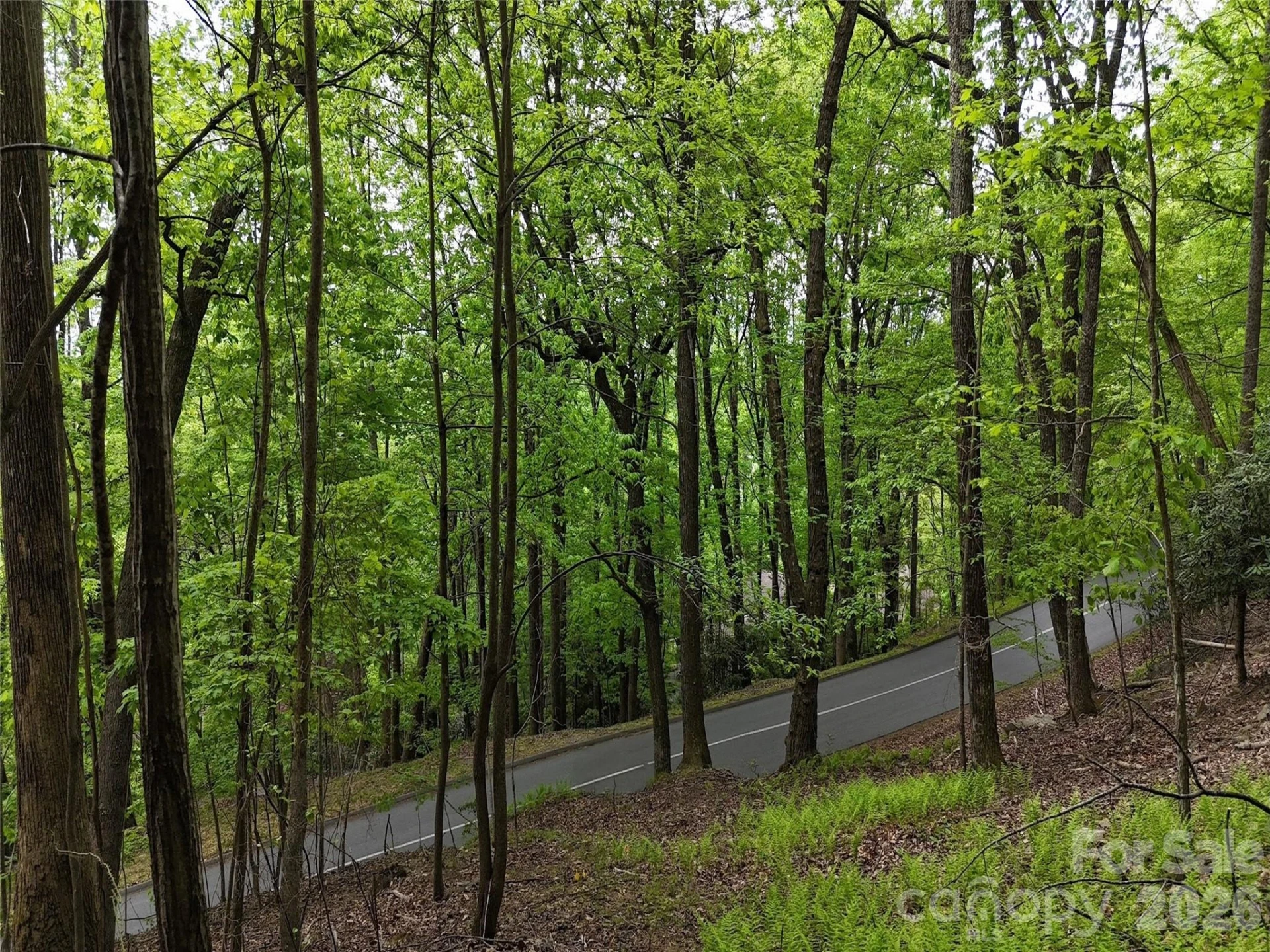 Lot #117 Honey Locust Drive - Photo 19