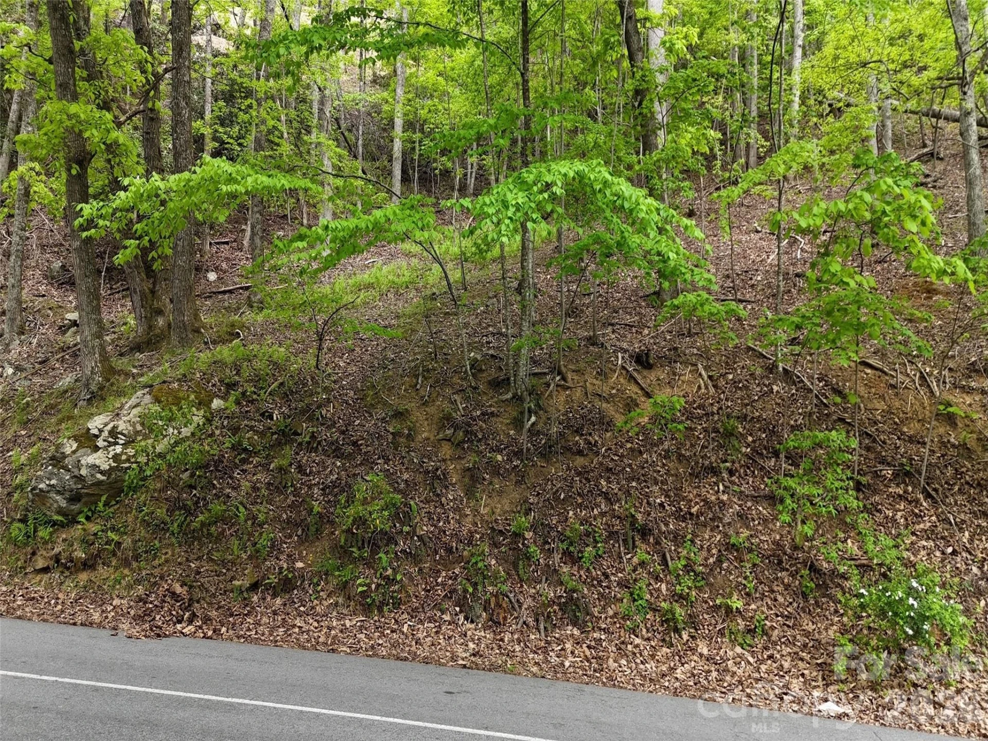 Lot #117 Honey Locust Drive - Photo 21