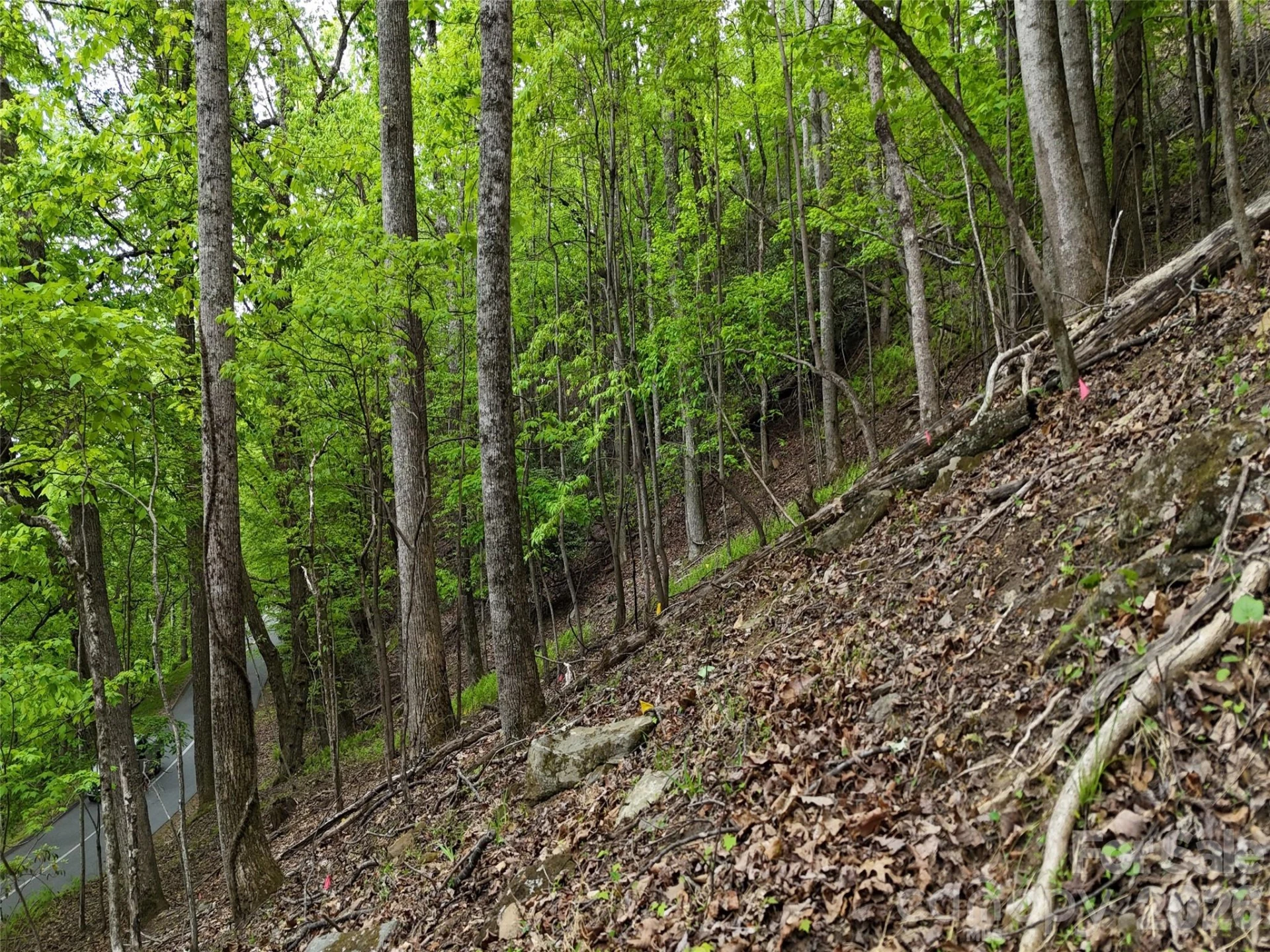 Lot #117 Honey Locust Drive - Photo 9