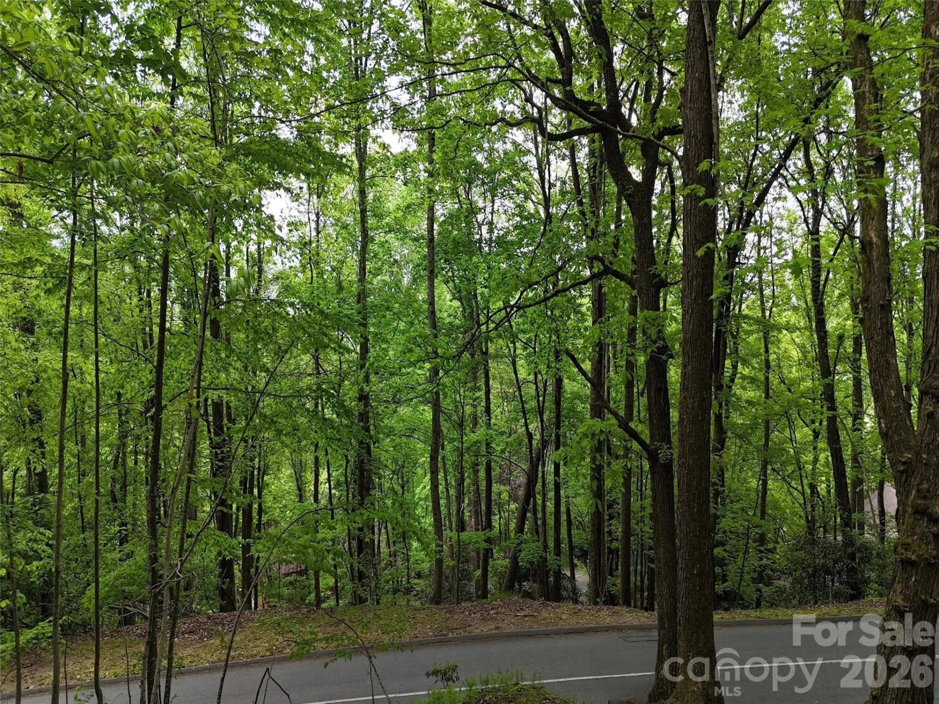 Lot #117 Honey Locust Drive - Photo 11