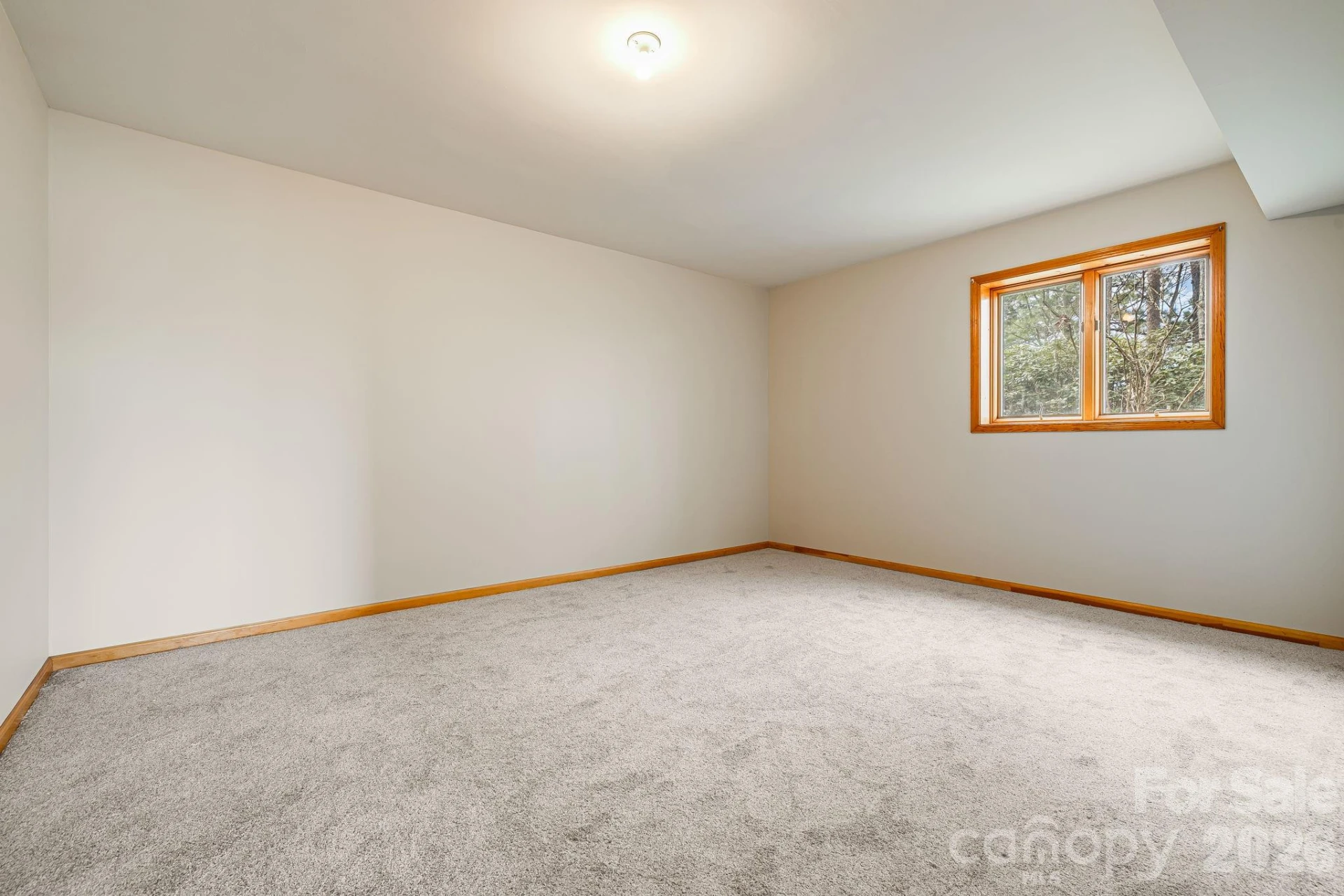 920 Morgan Drive - Photo 24
