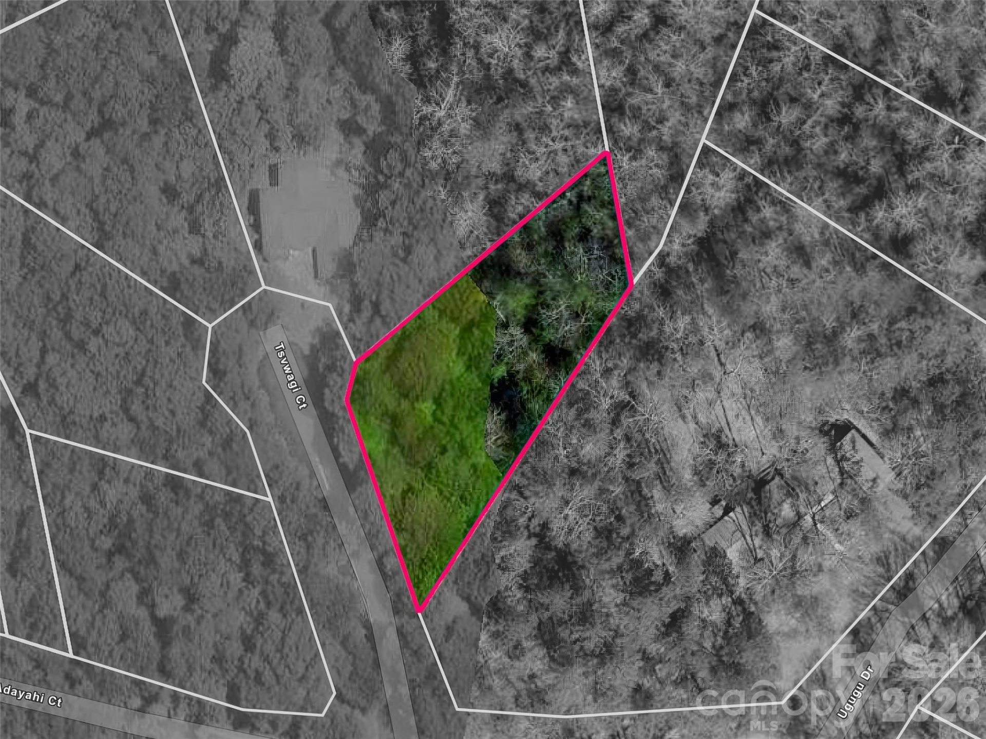 TBD Tsvwagi Court #2/25 - Photo 2