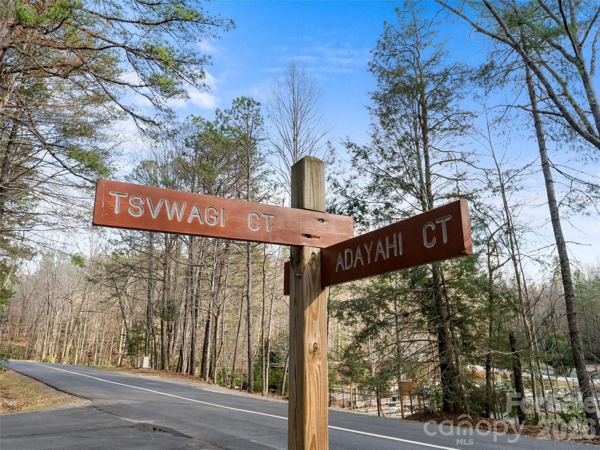 TBD Tsvwagi Court #2/25 - Photo 4