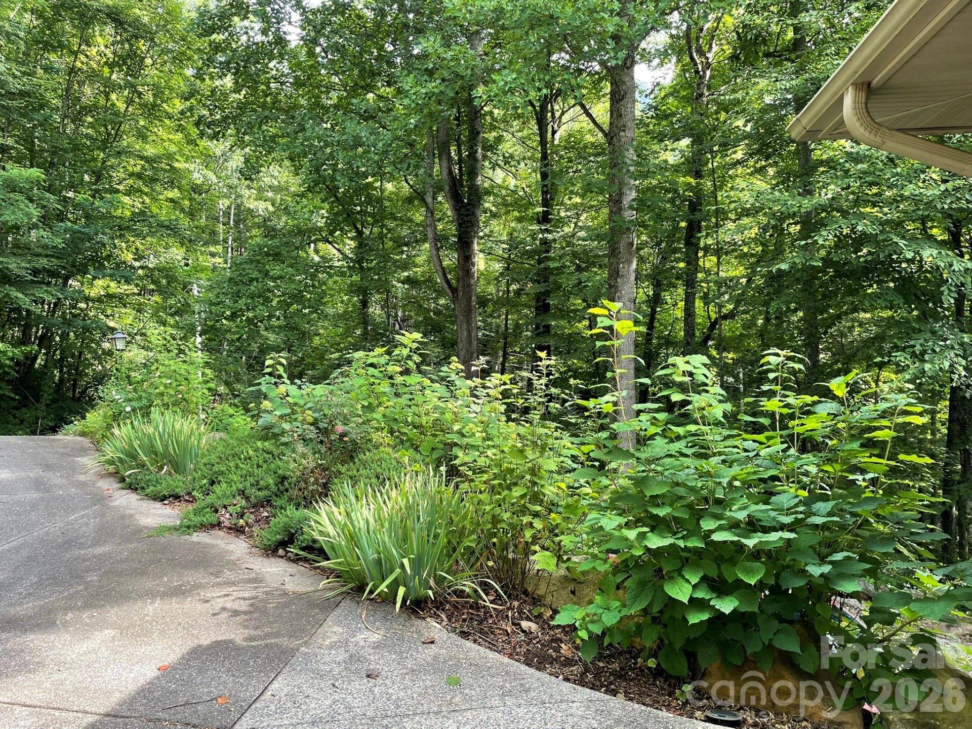 30 Laurel Branch Drive - Photo 44