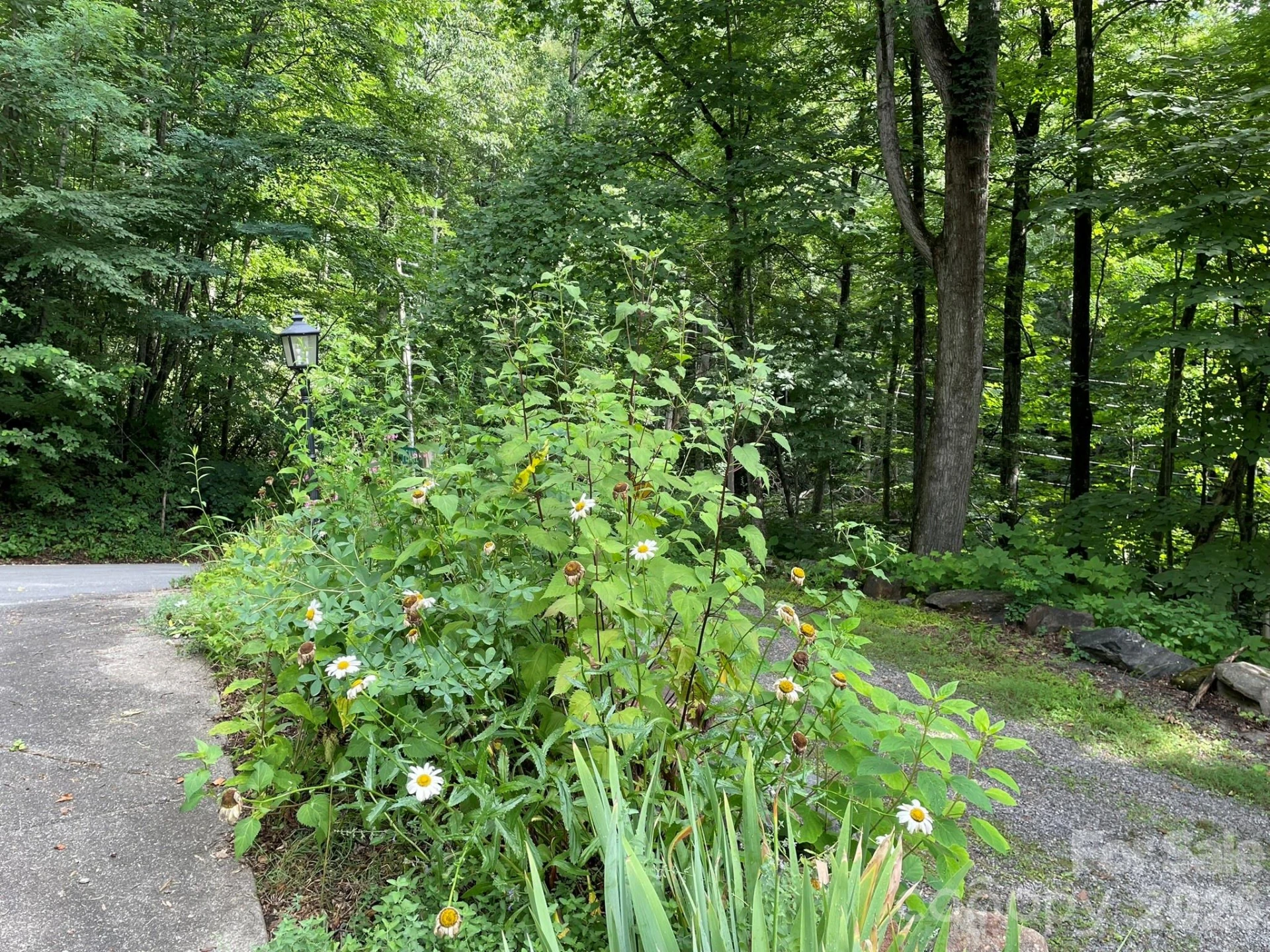 30 Laurel Branch Drive - Photo 46