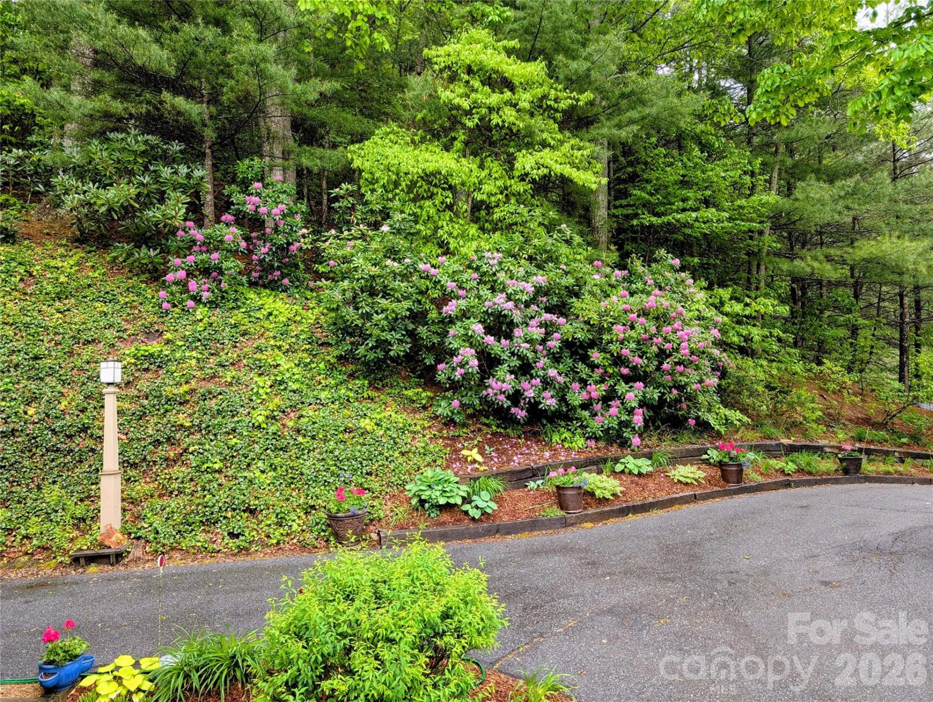 204 Briarcliff None - Photo 34