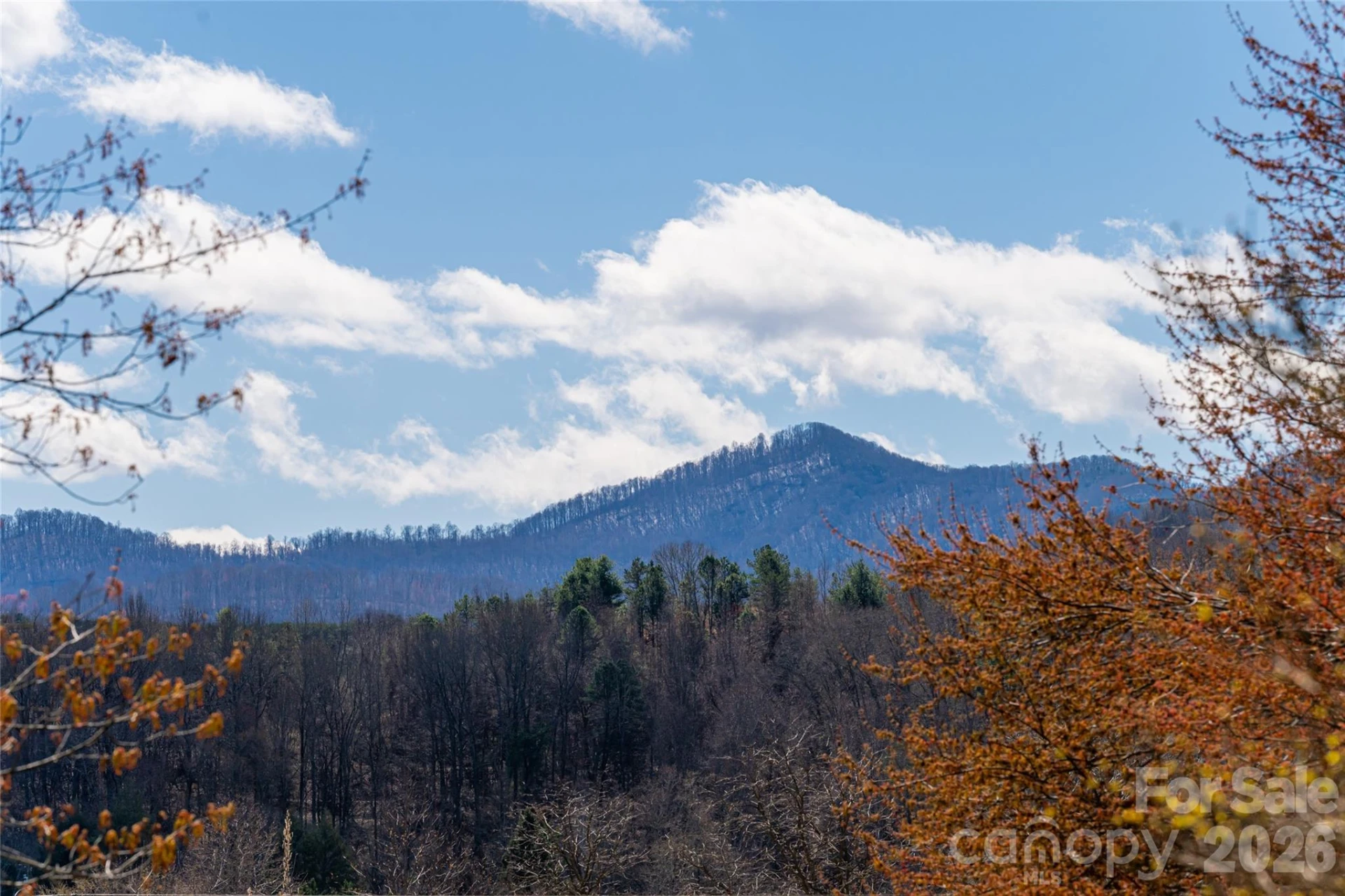 203 Pine Street - Photo 37