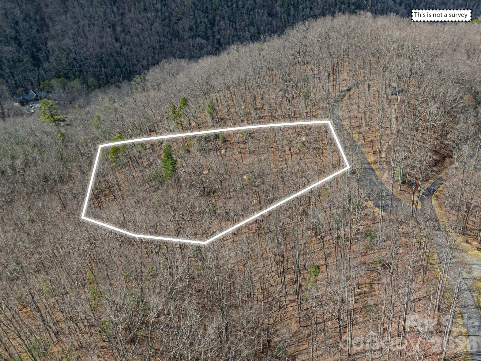51 Wild Turkey Loop #32 - Photo 2
