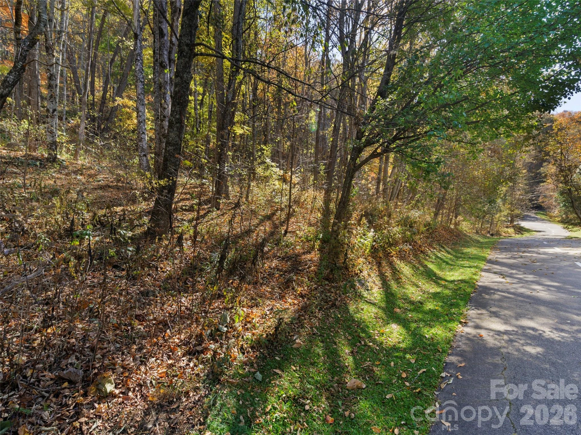 Lot 28 Jefferson Lane - Photo 3