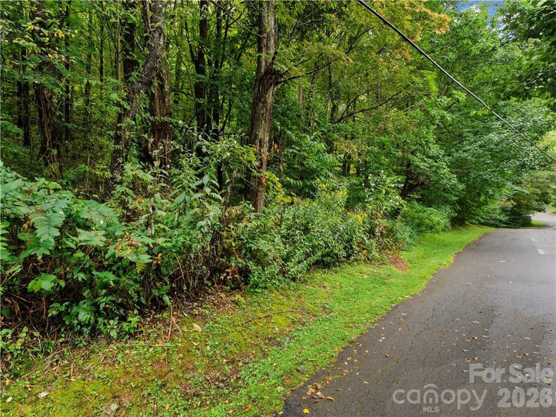 Lot 28 Jefferson Lane - Photo 4
