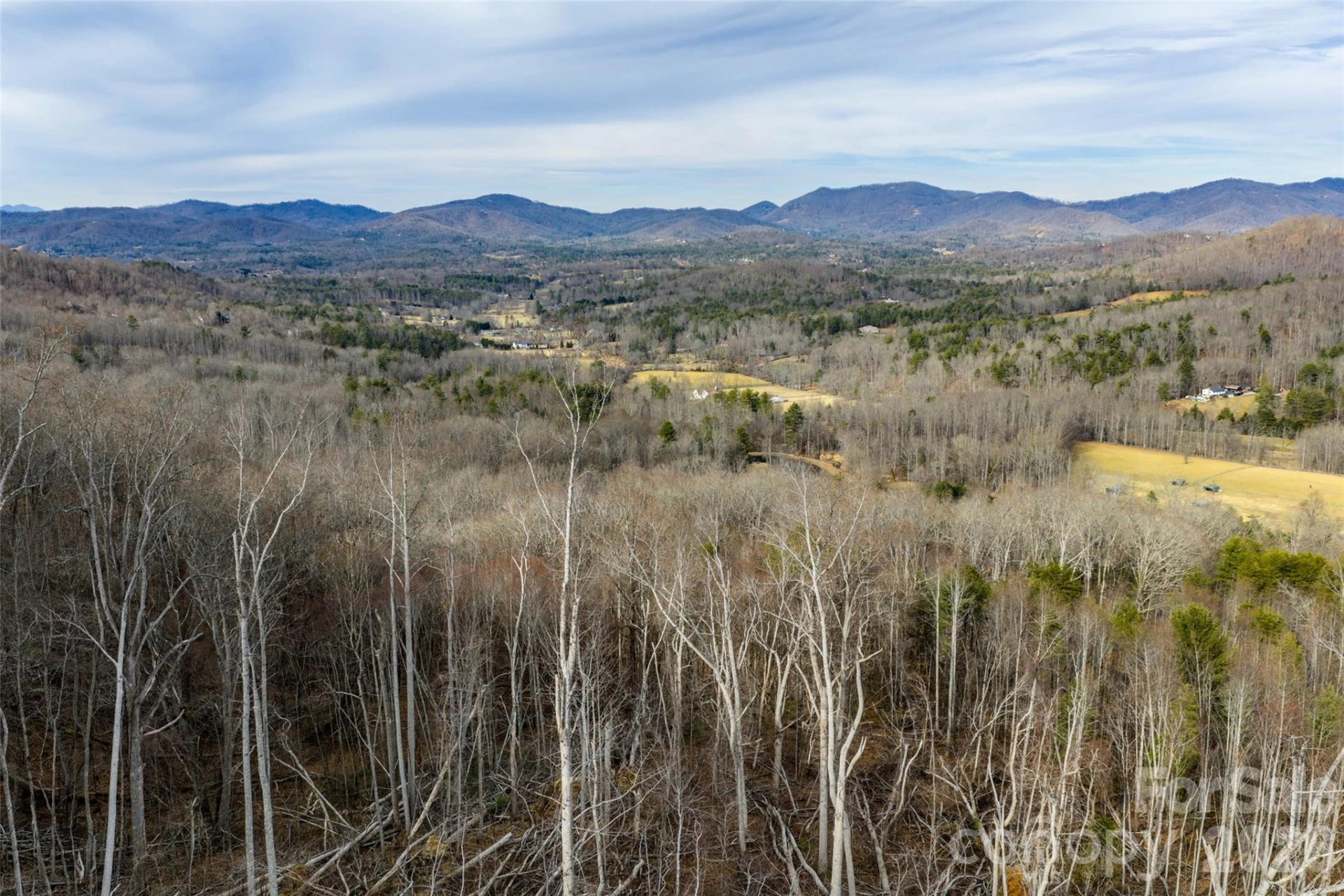 99999 Brush Creek Circle - Photo 4