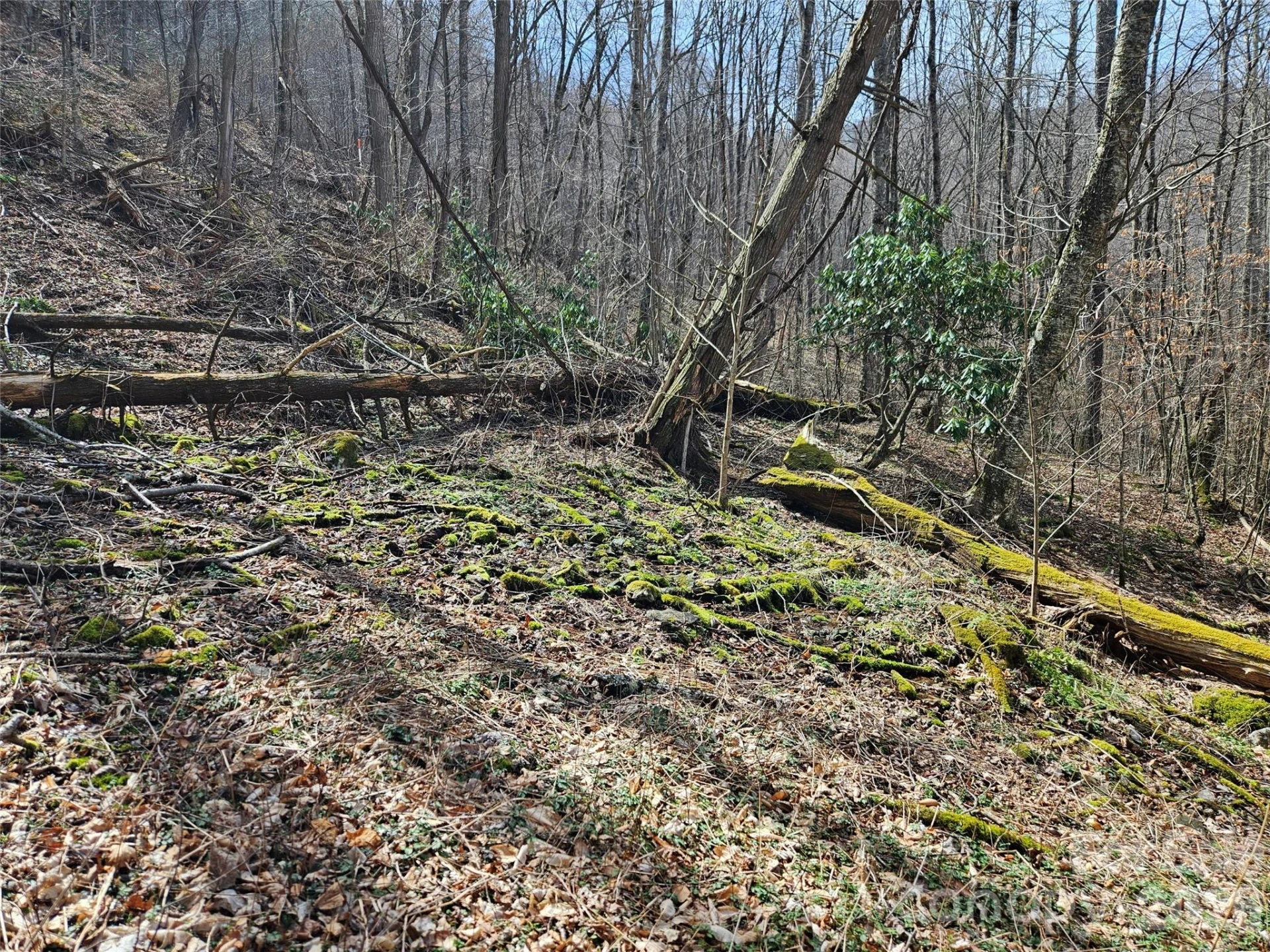 000 Forbidden Cove - Photo 14