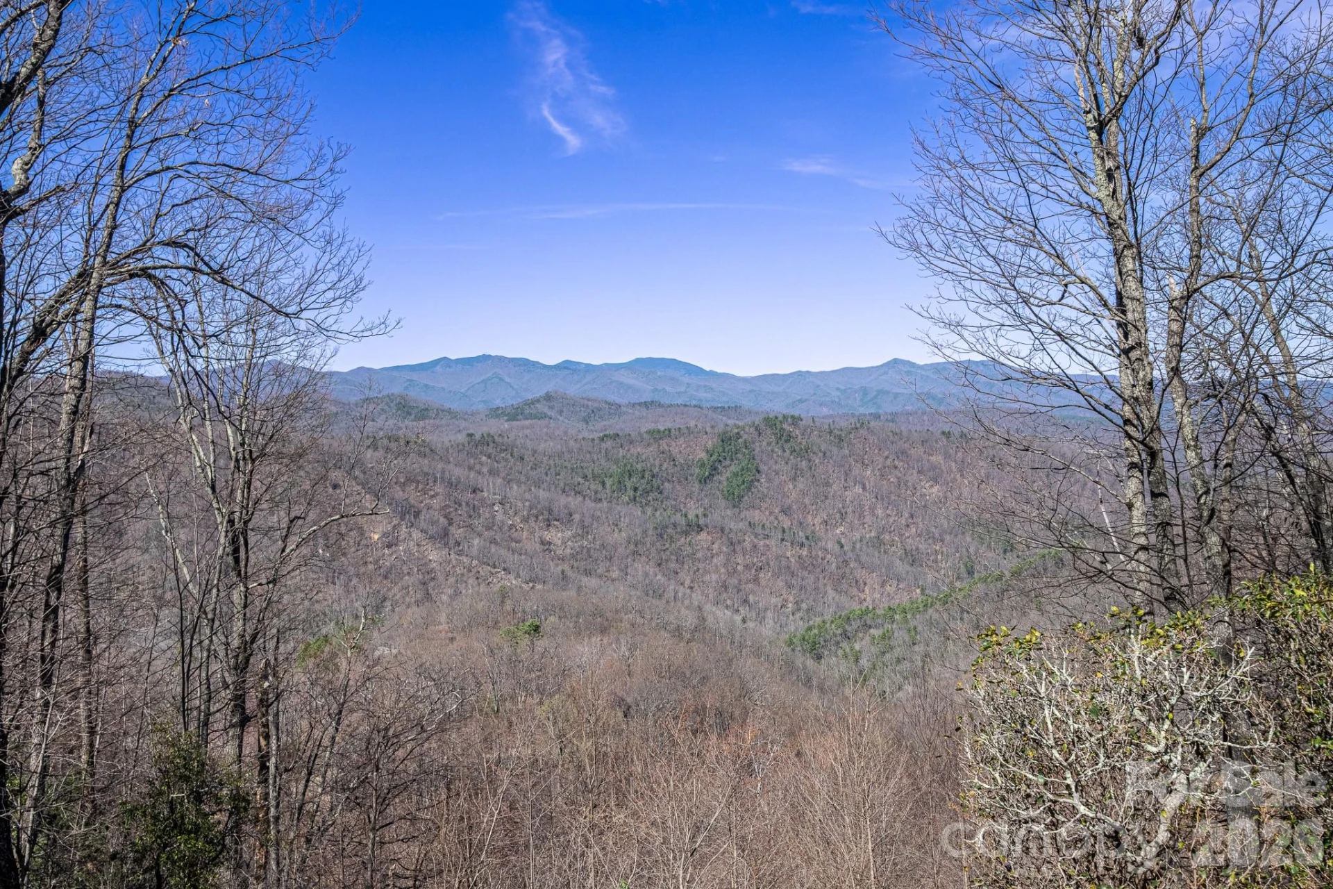 192 Woodruff Lane - Photo 6