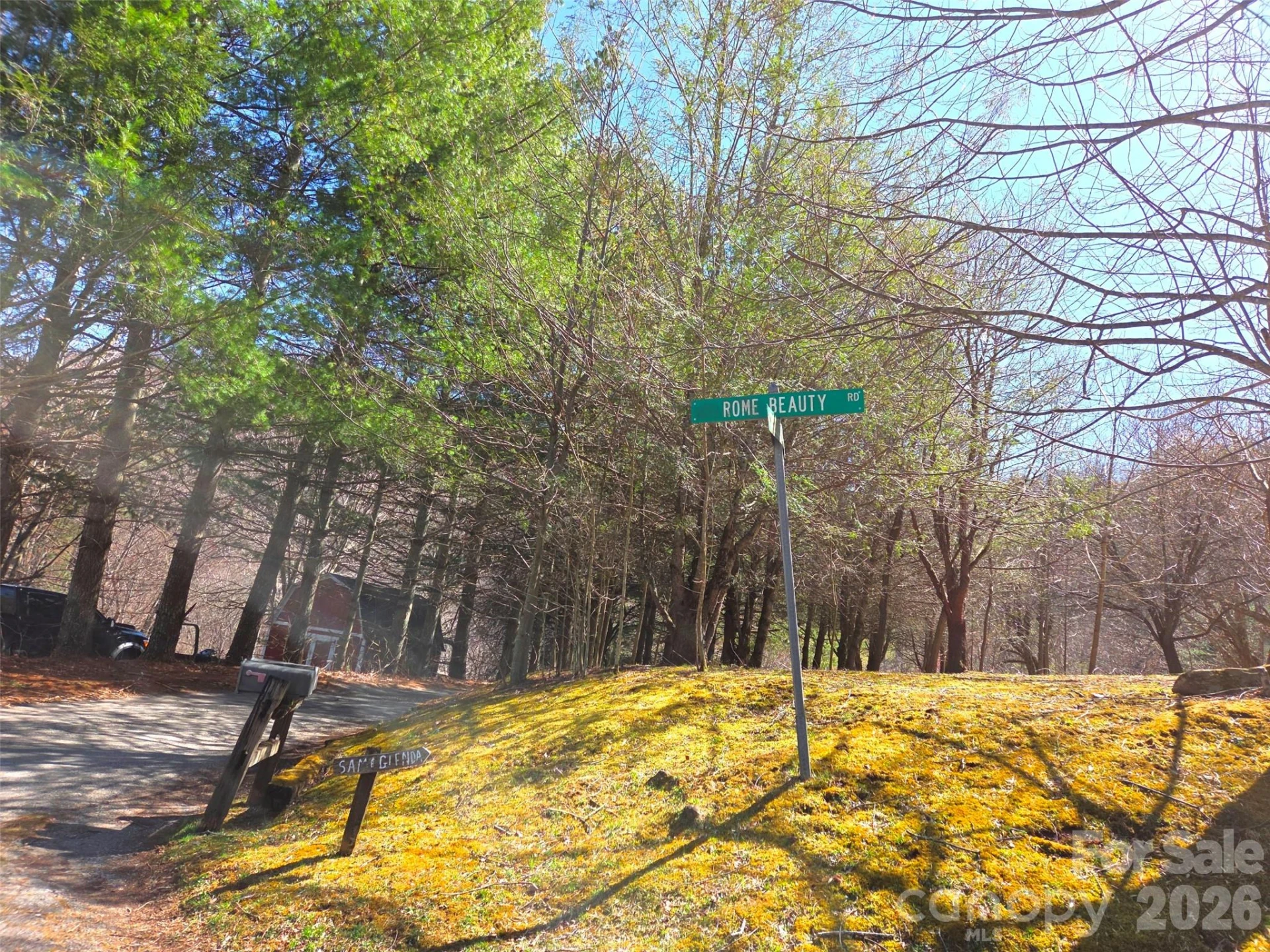 250 Rome Beauty Road #TR5 - Photo 12