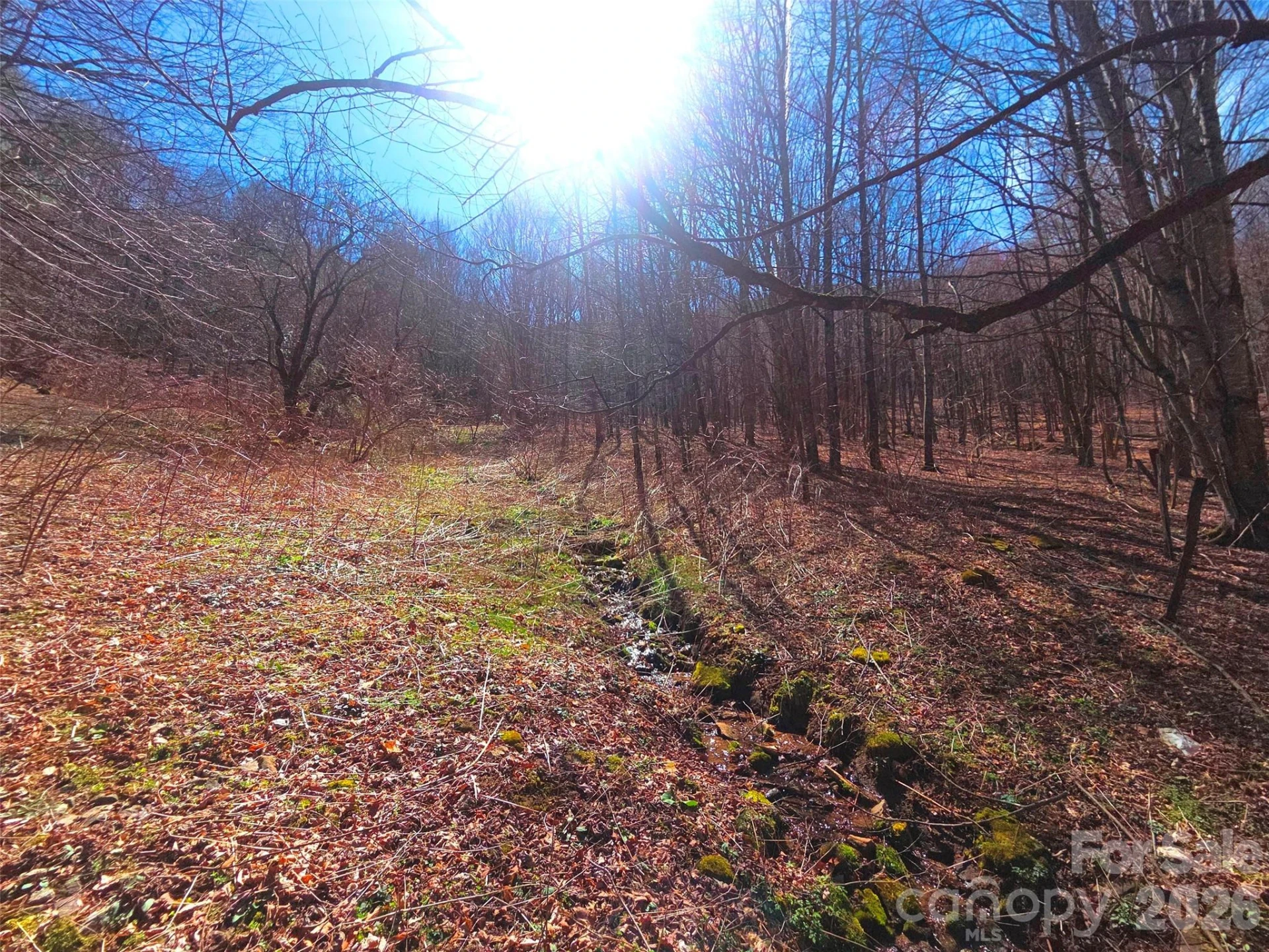 250 Rome Beauty Road #TR5 - Photo 4
