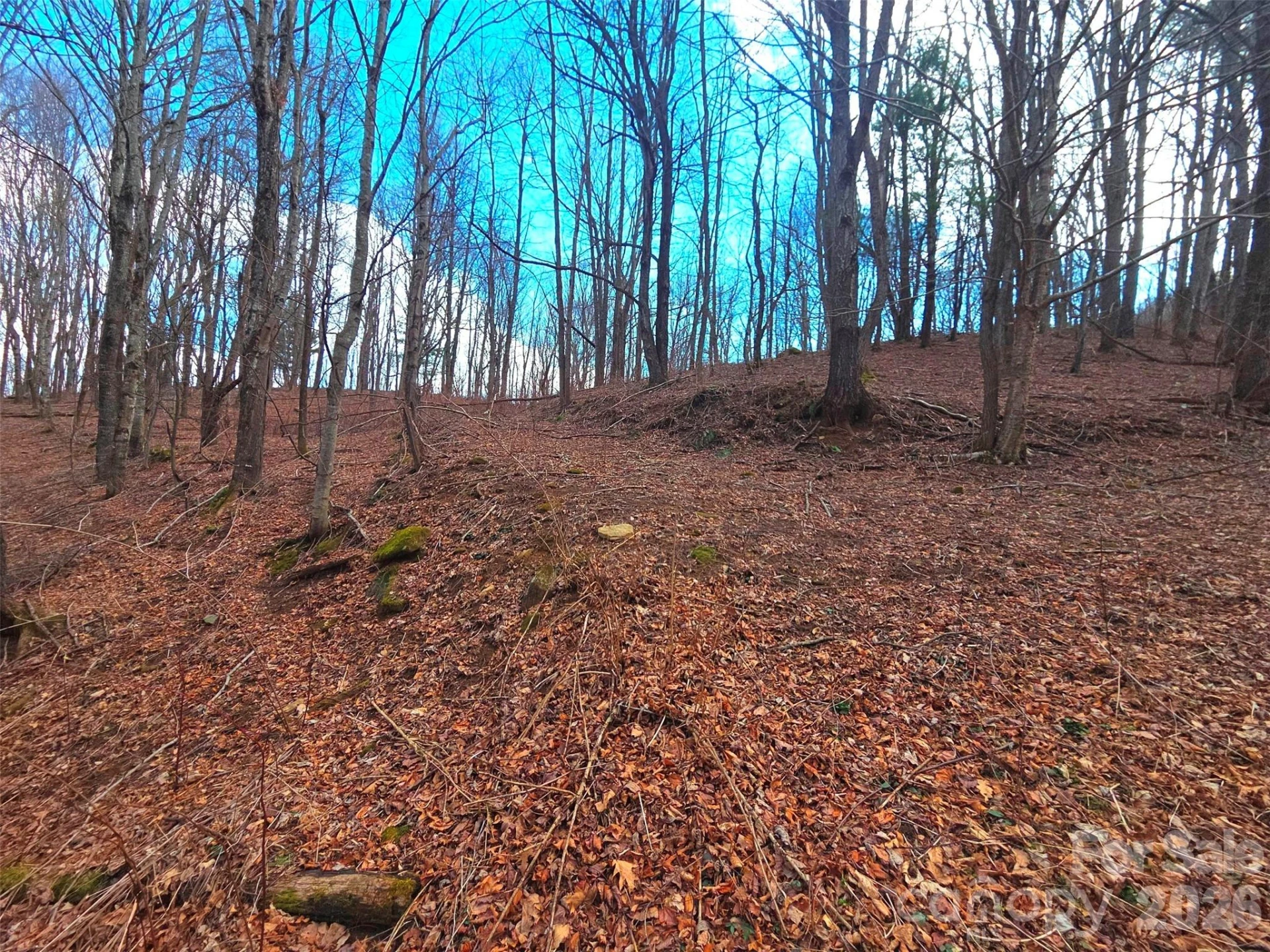 250 Rome Beauty Road #TR5 - Photo 20