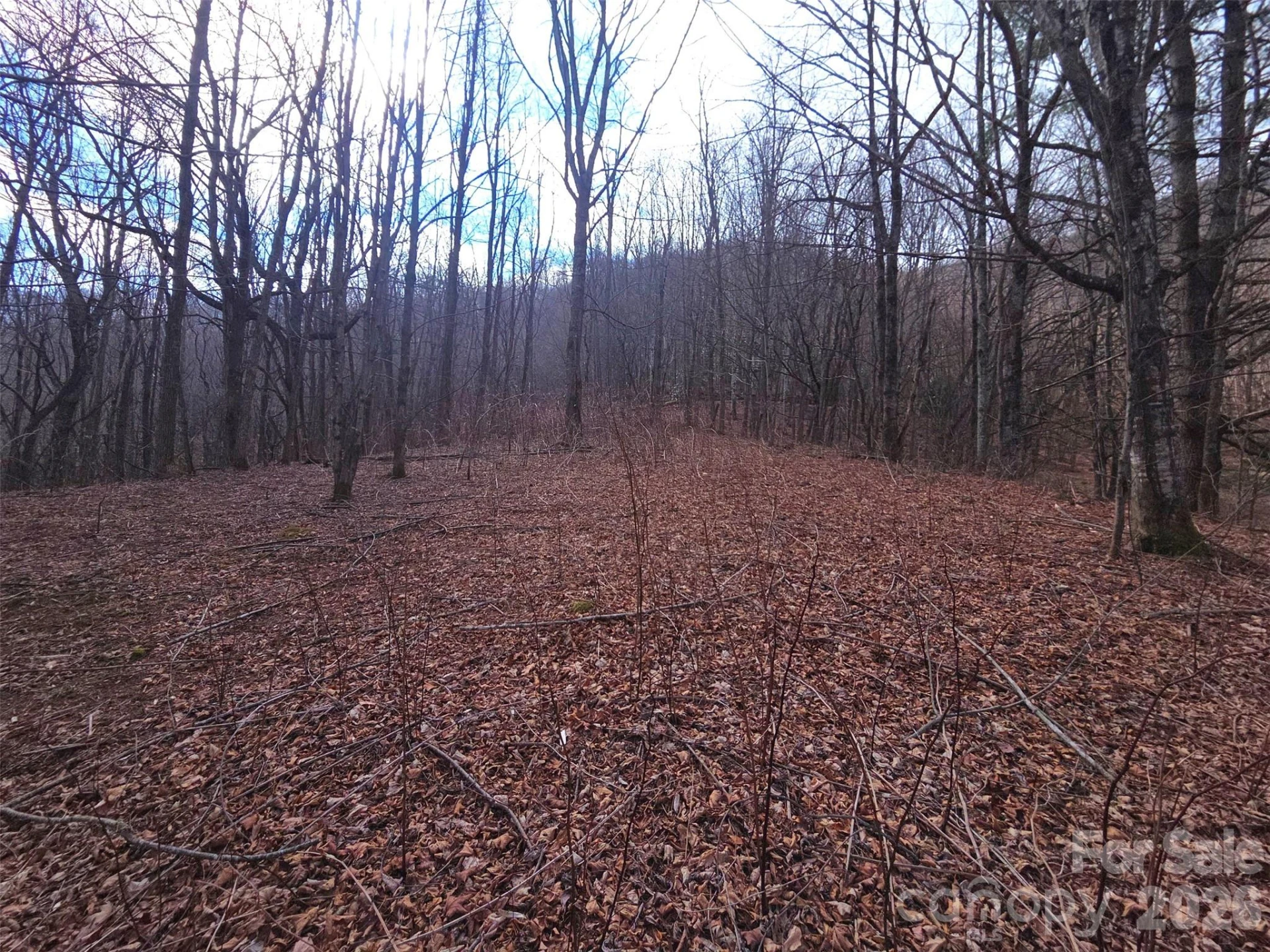250 Rome Beauty Road #TR5 - Photo 21