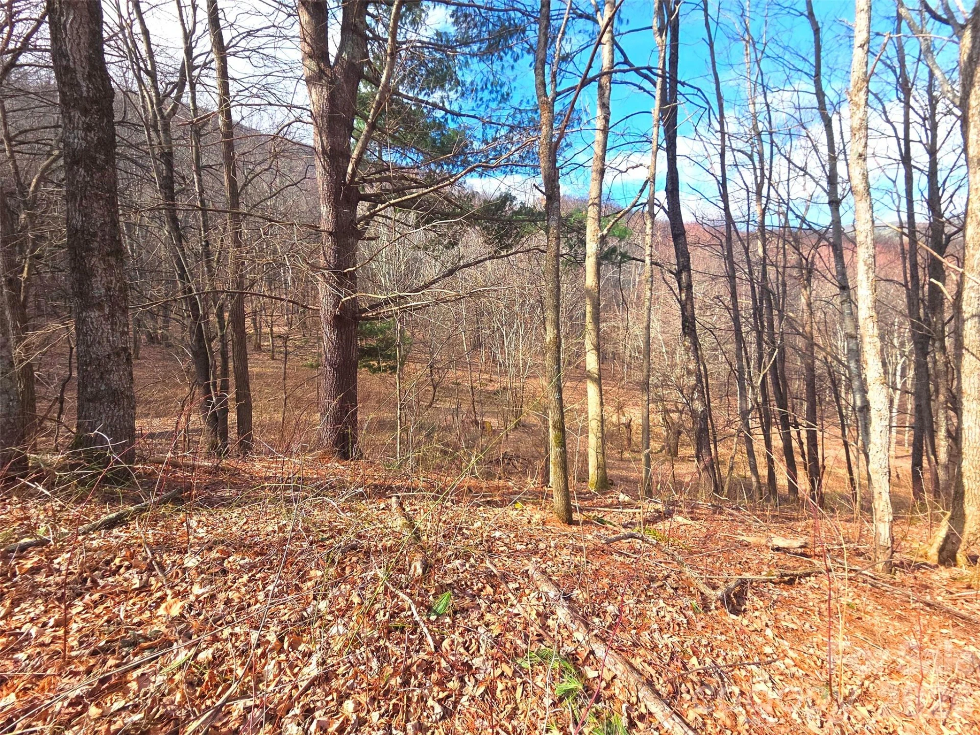 250 Rome Beauty Road #TR5 - Photo 9