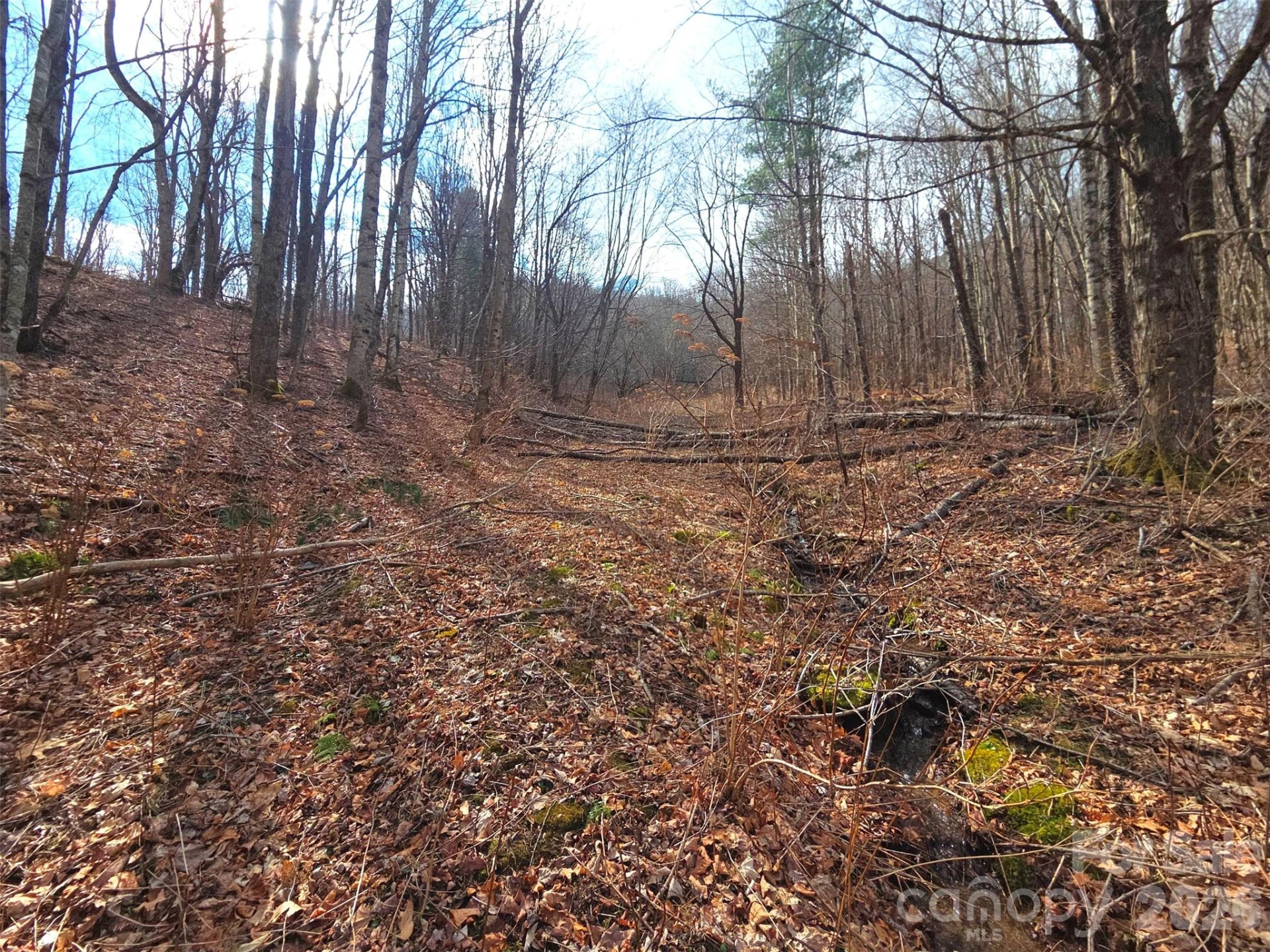 250 Rome Beauty Road #TR5 - Photo 11