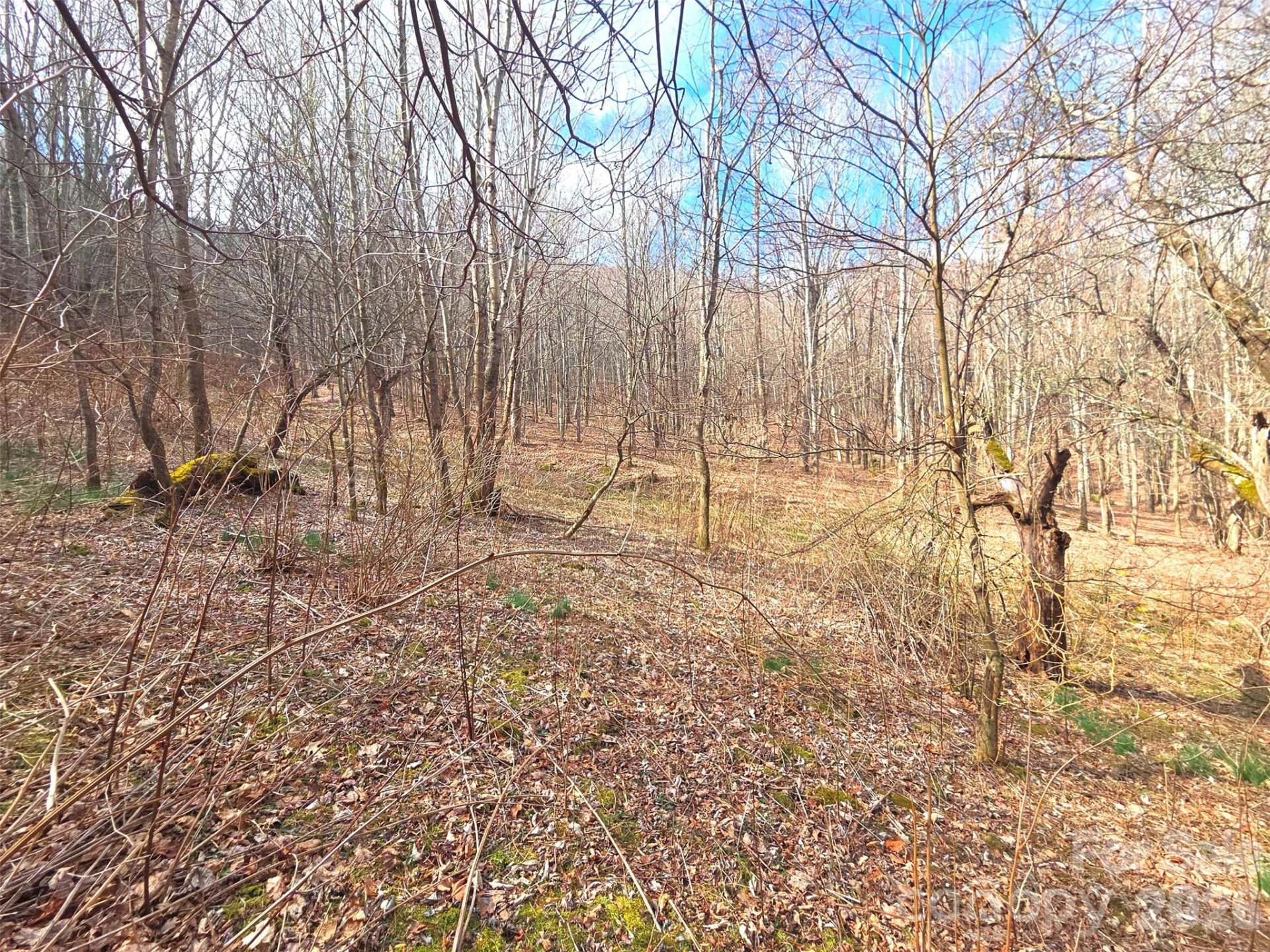 250 Rome Beauty Road #TR5 - Photo 5