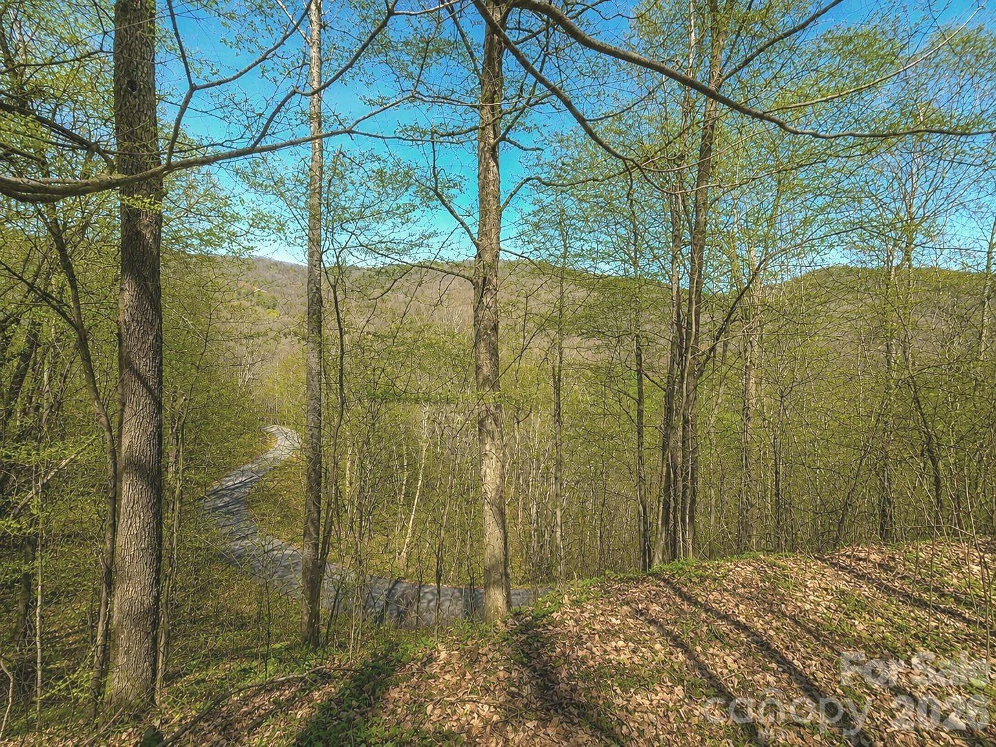 1200 Chestnut Flats Lane #138 - Photo 2