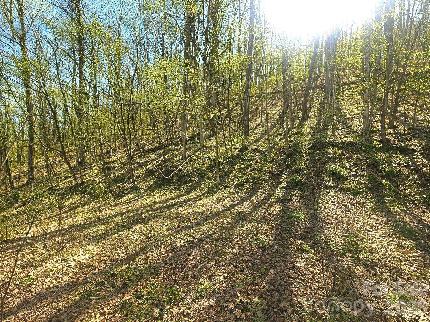 1200 Chestnut Flats Lane #138 - Photo 4