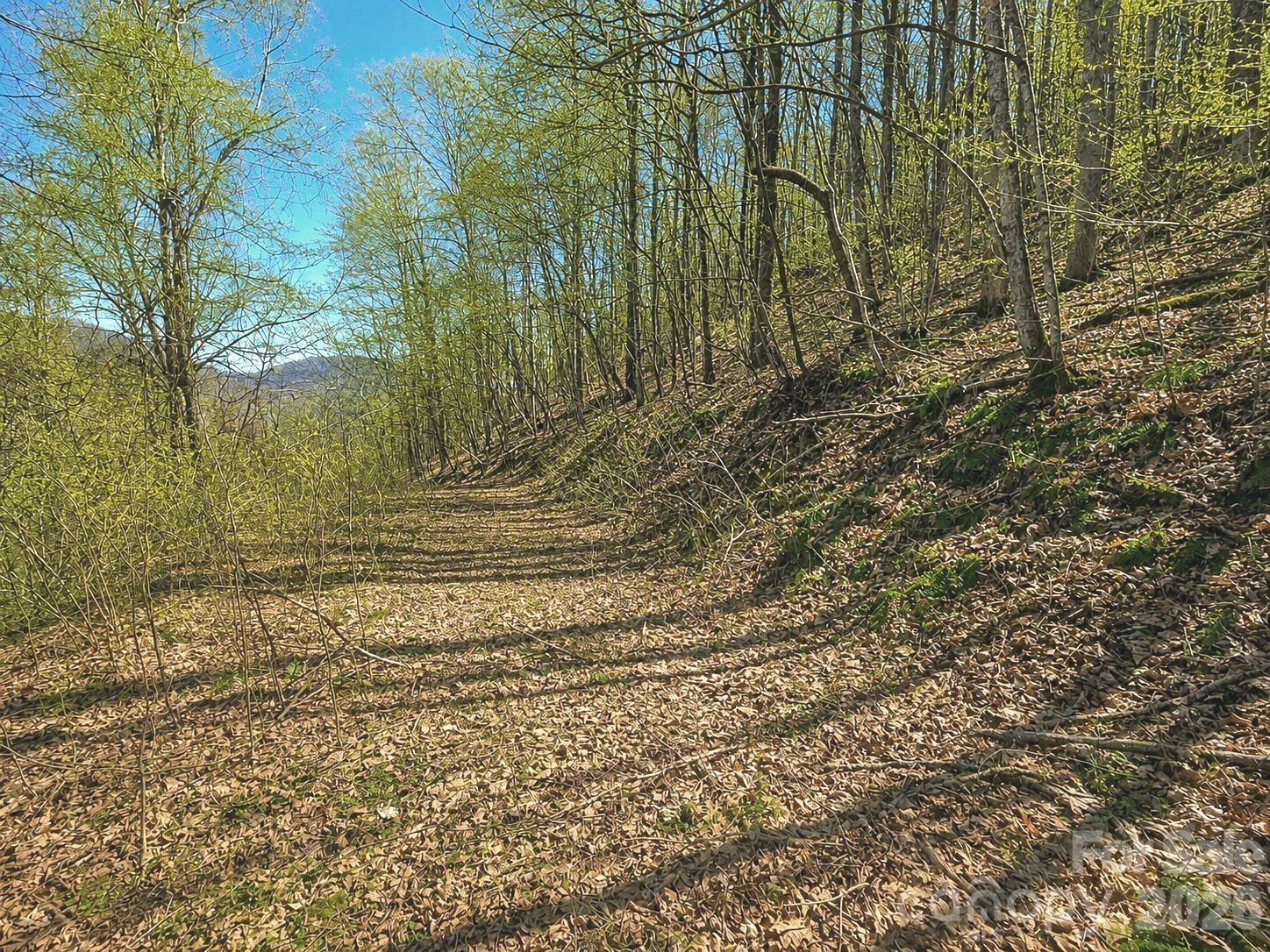 1200 Chestnut Flats Lane #138