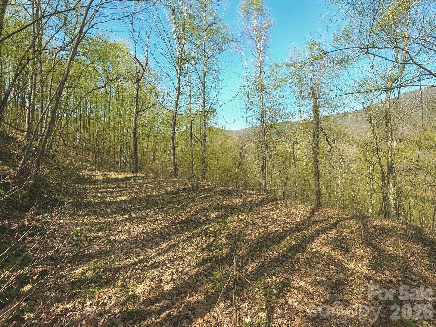 1200 Chestnut Flats Lane #138 - Photo 17