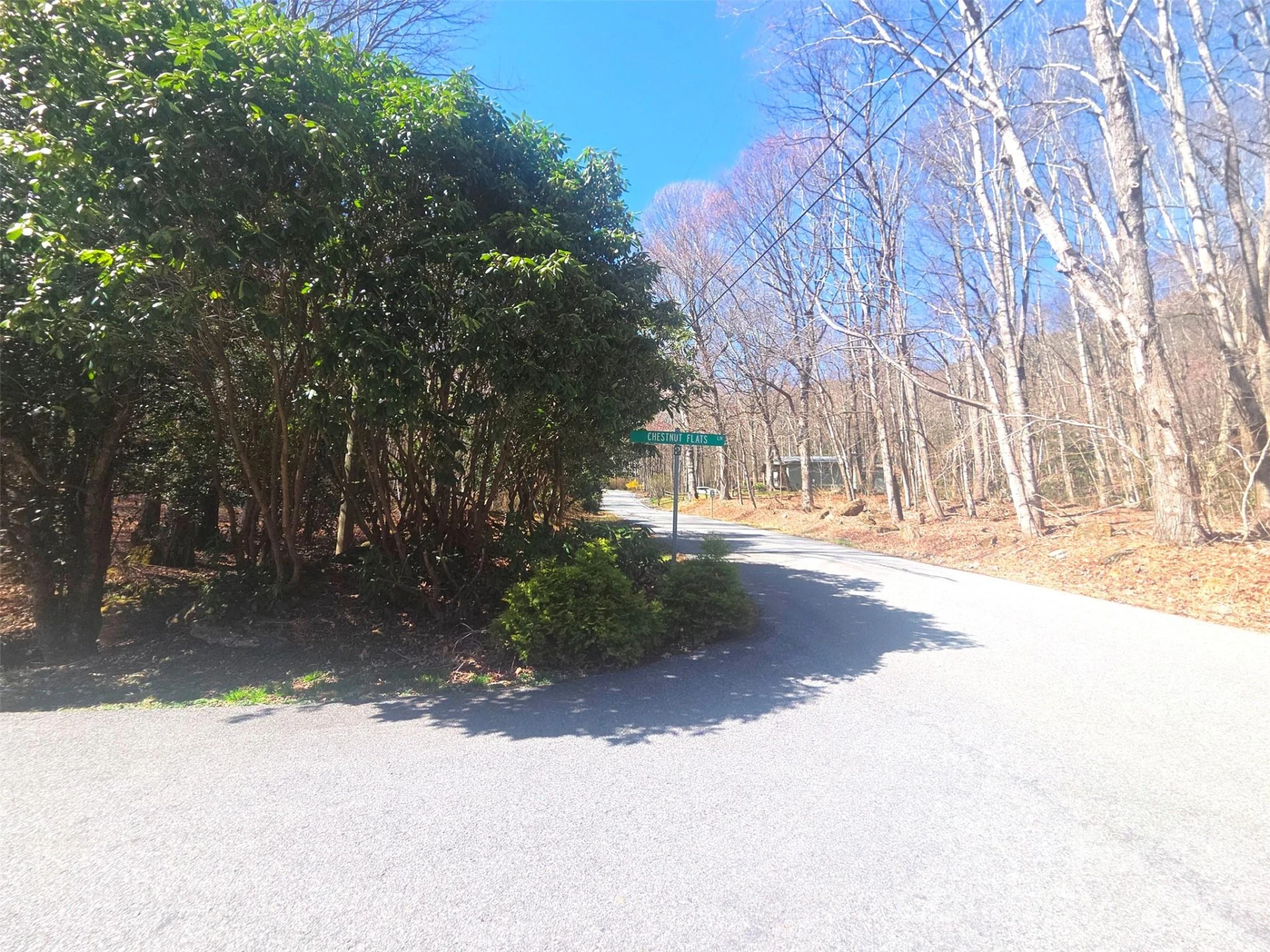 1200 Chestnut Flats Lane #138 - Photo 19