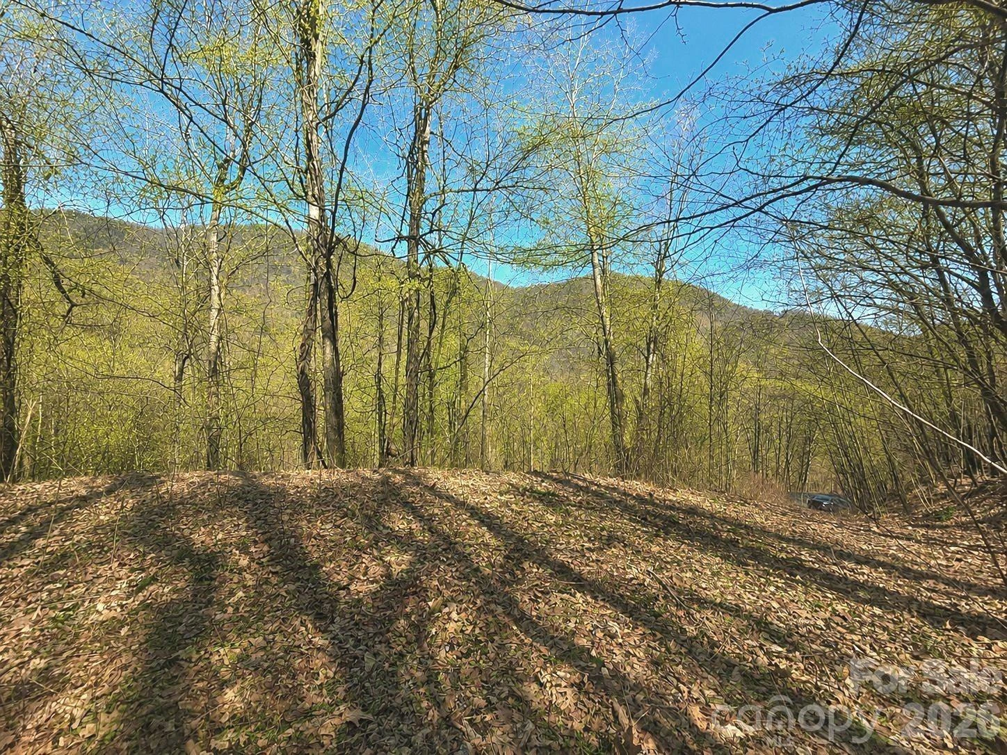 1200 Chestnut Flats Lane #138 - Photo 5