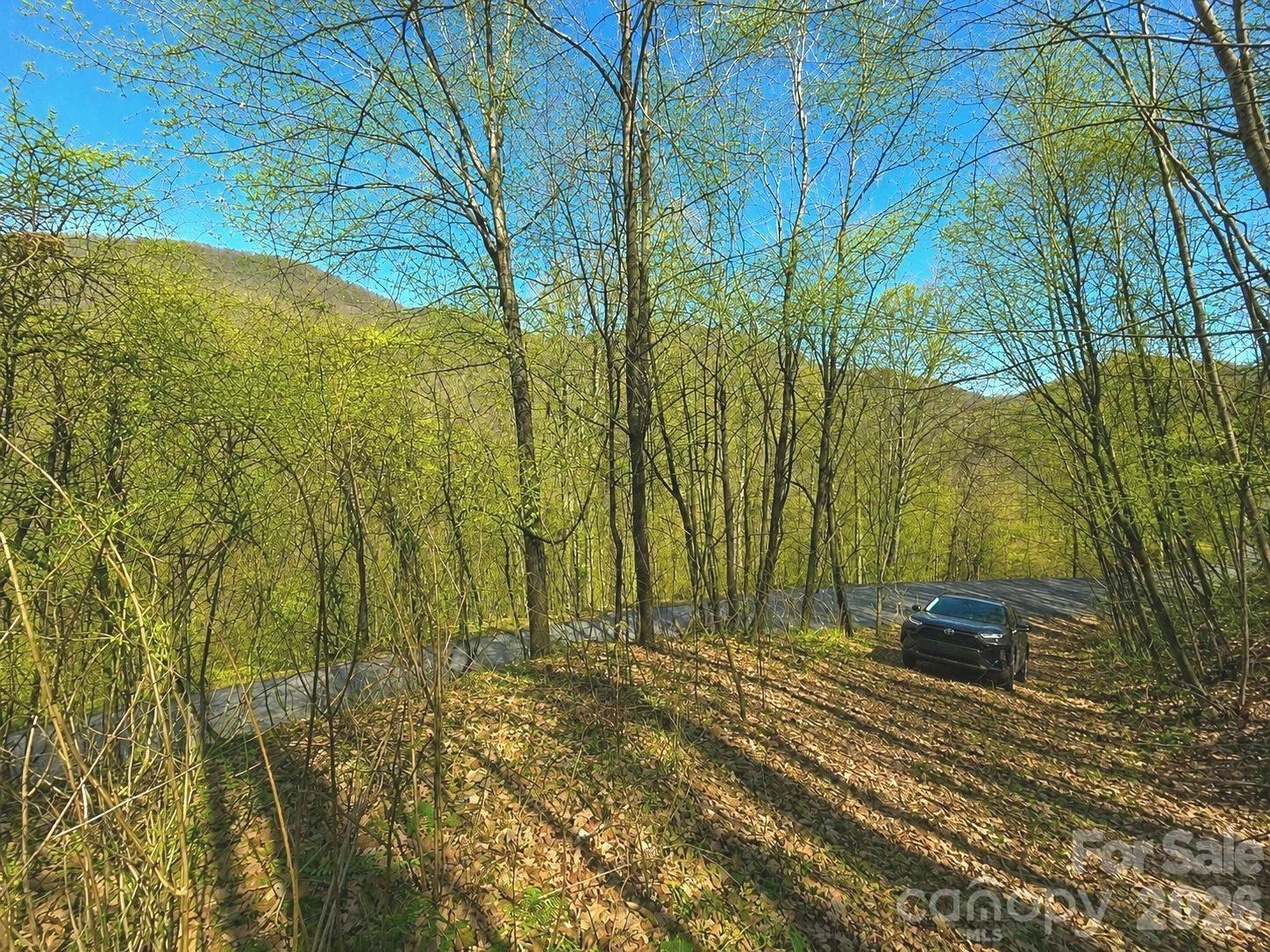 1200 Chestnut Flats Lane #138 - Photo 6