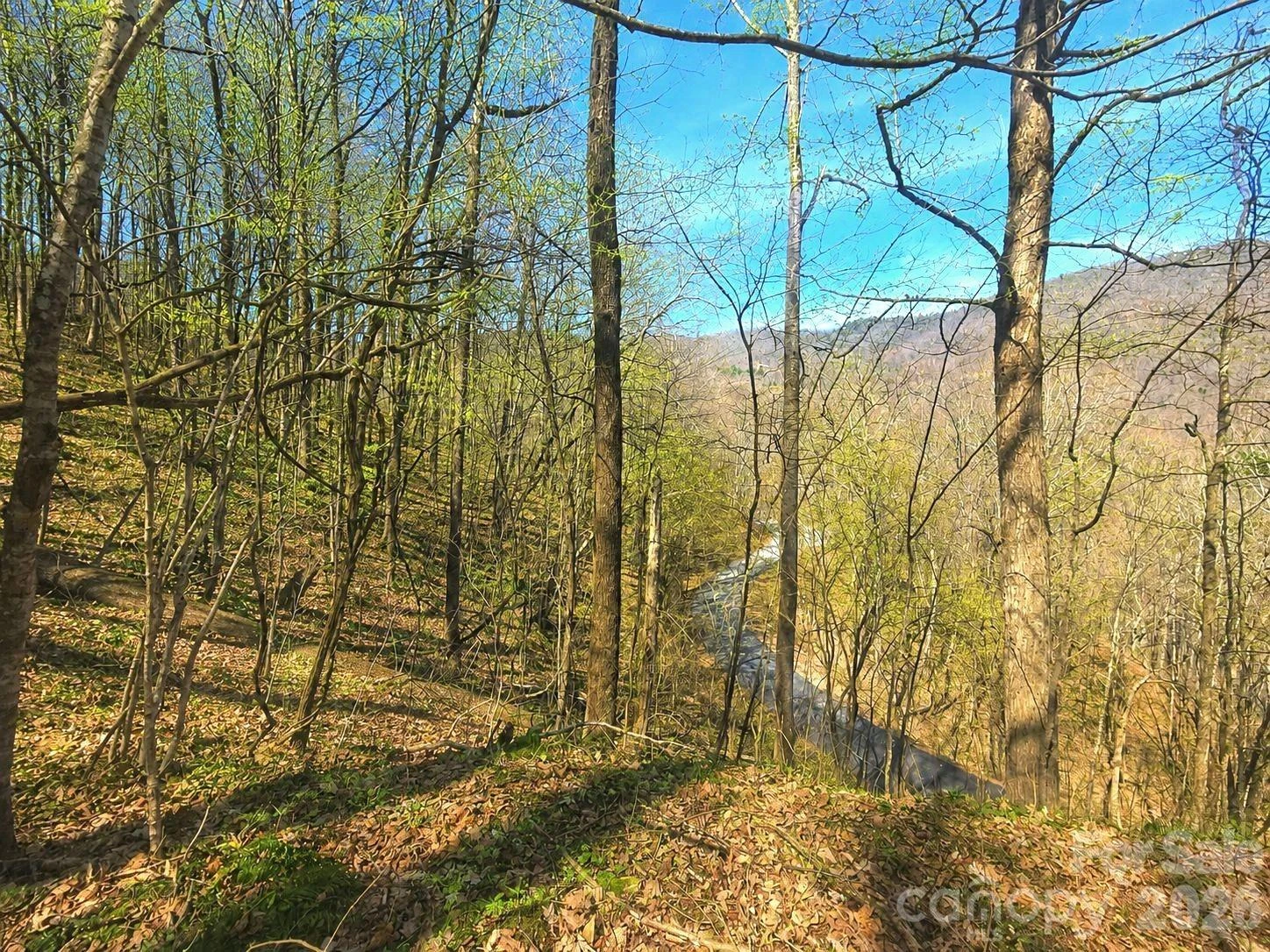 1200 Chestnut Flats Lane #138 - Photo 9