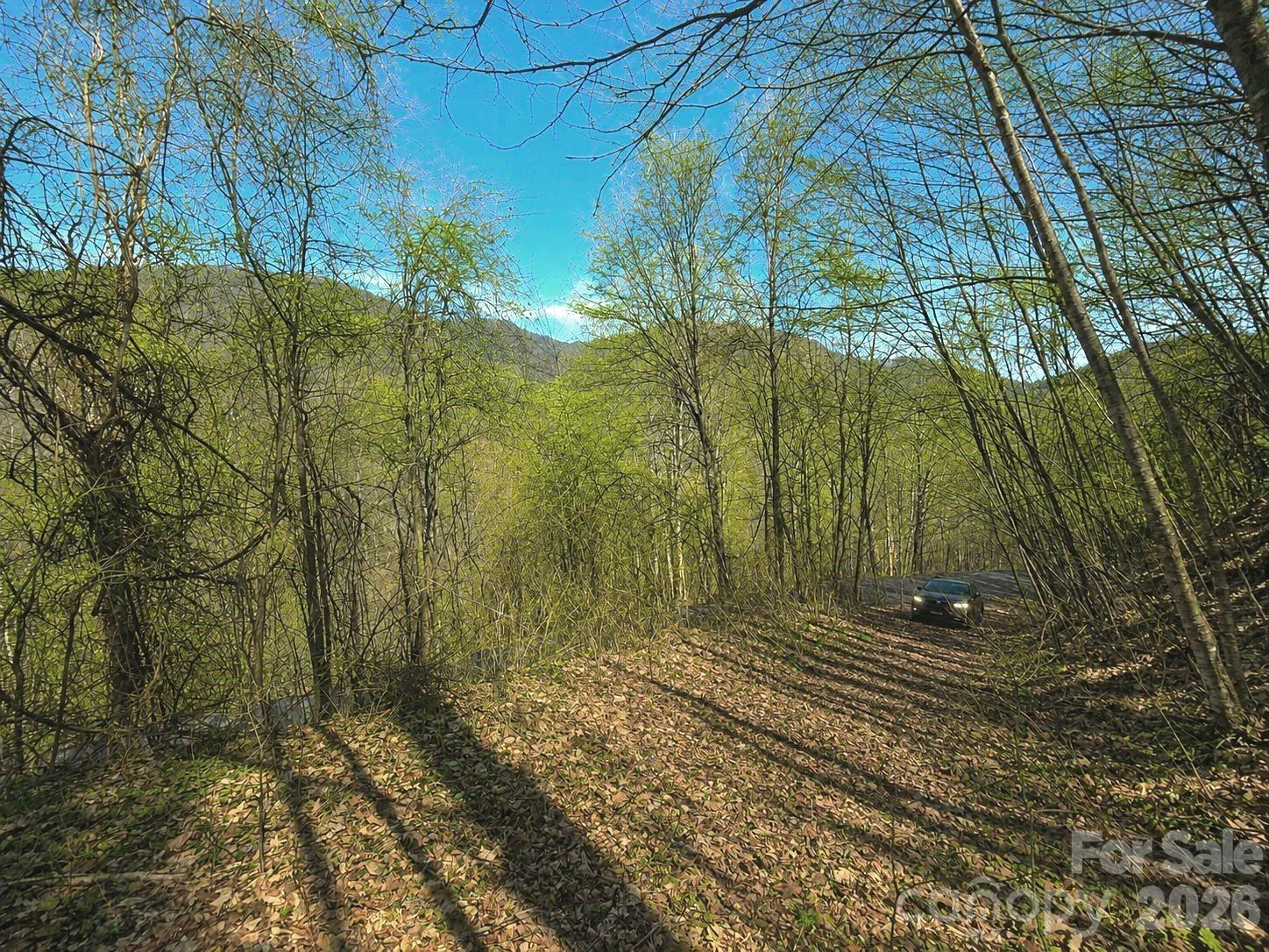 1200 Chestnut Flats Lane #138 - Photo 10