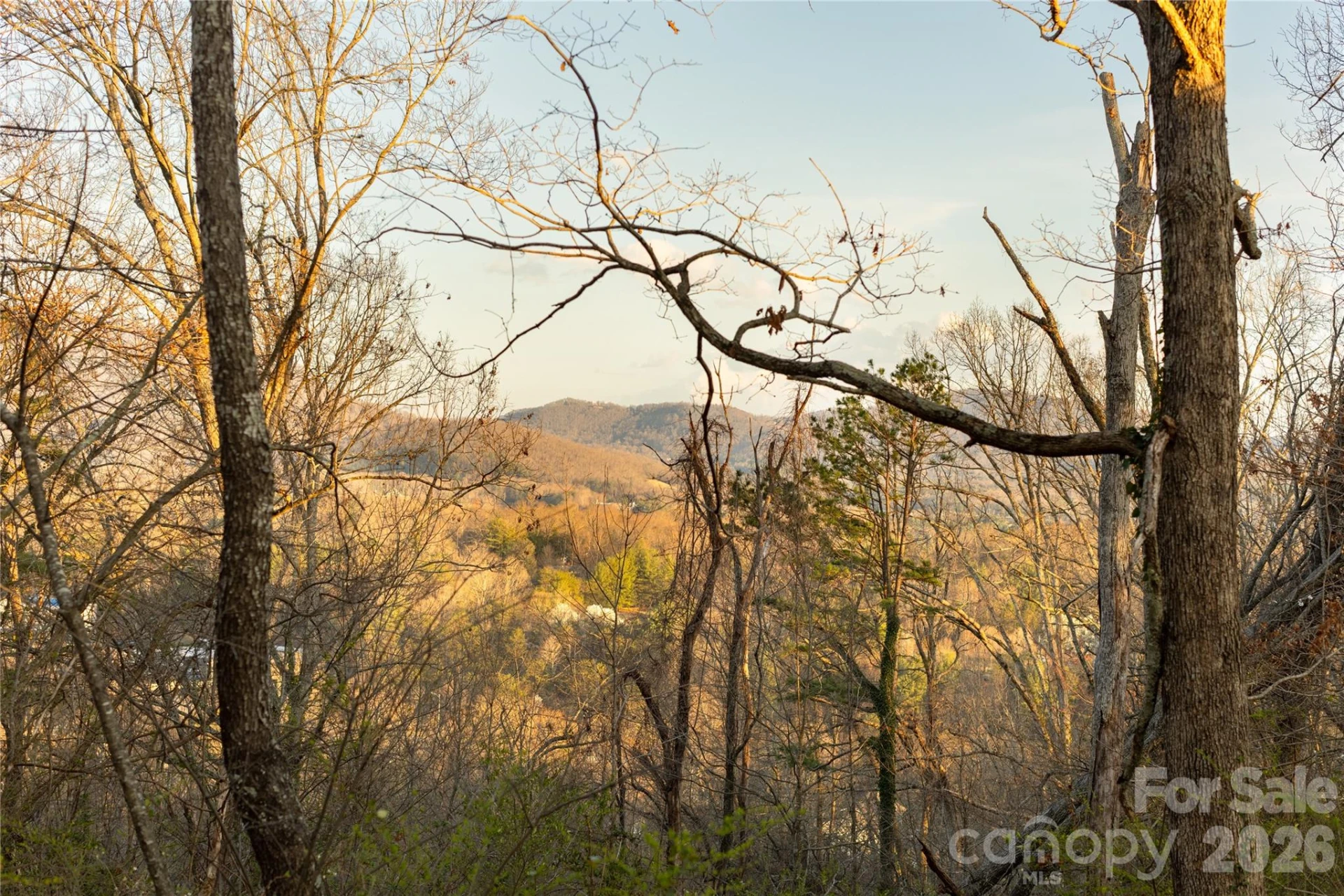 9999 Weaver Hill Road - Photo 4