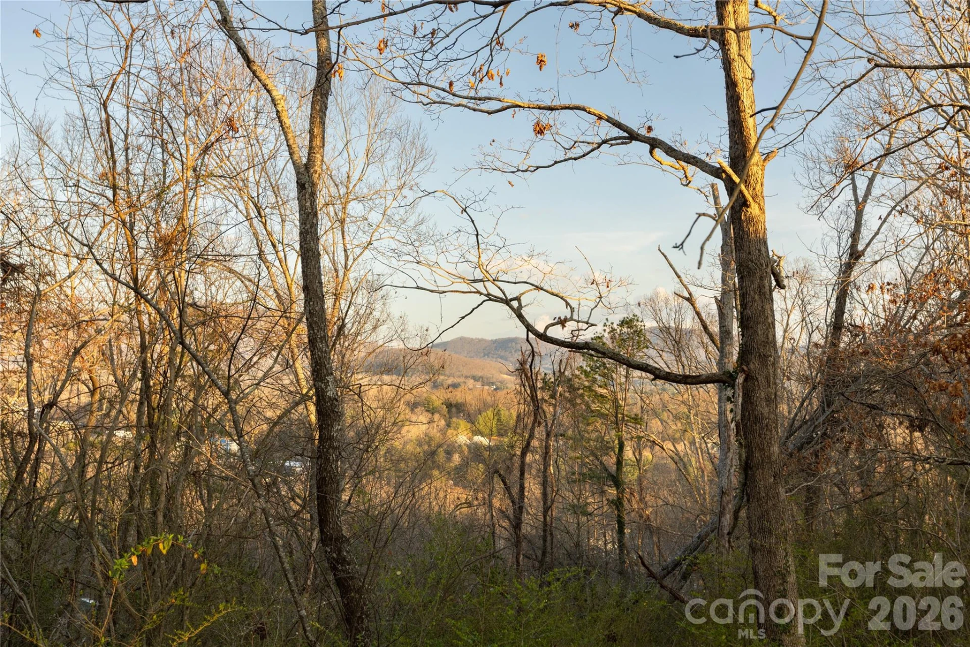 9999 Weaver Hill Road - Photo 5