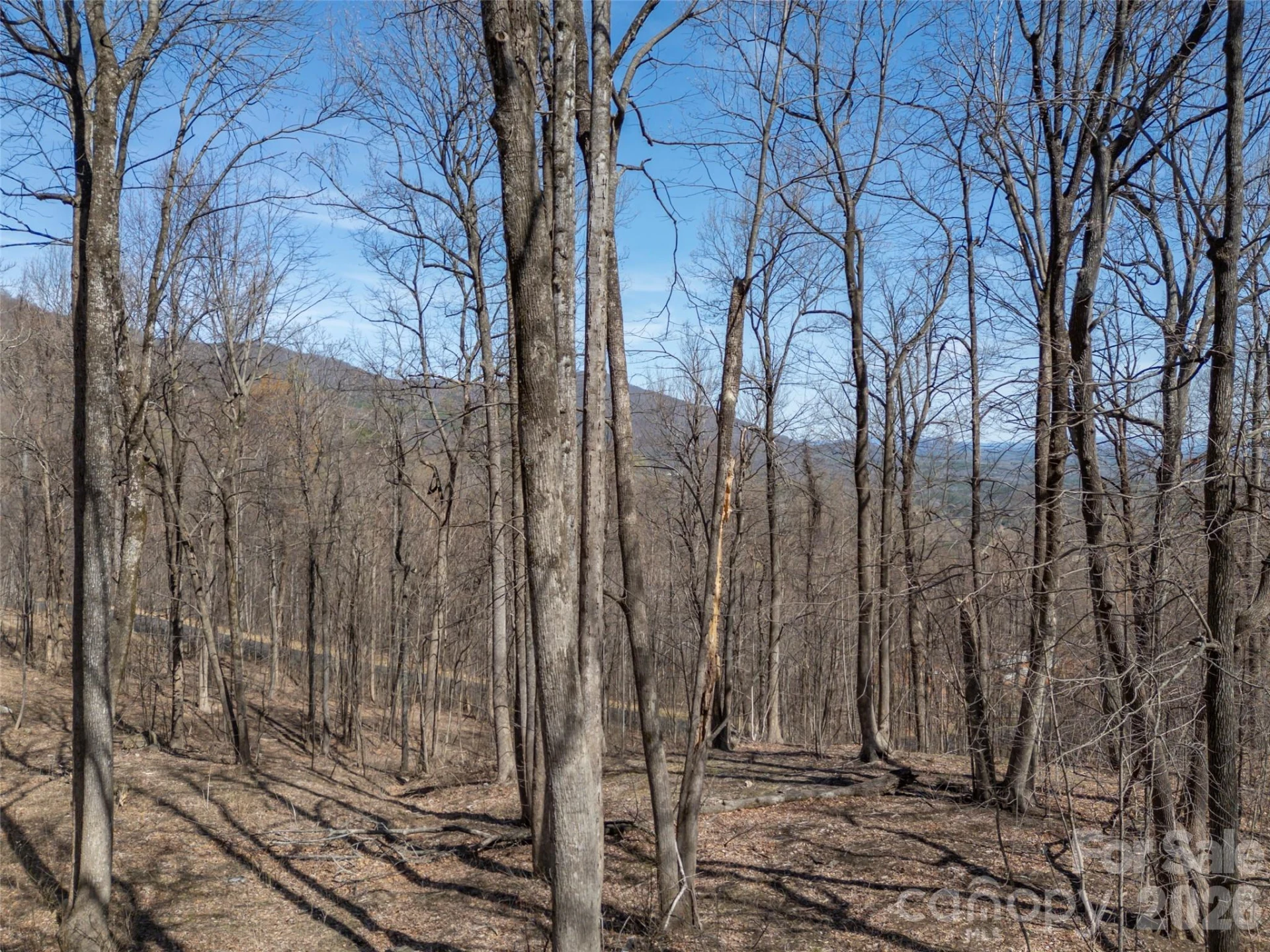 Lot 2130 Weaverly Lane - Photo 12
